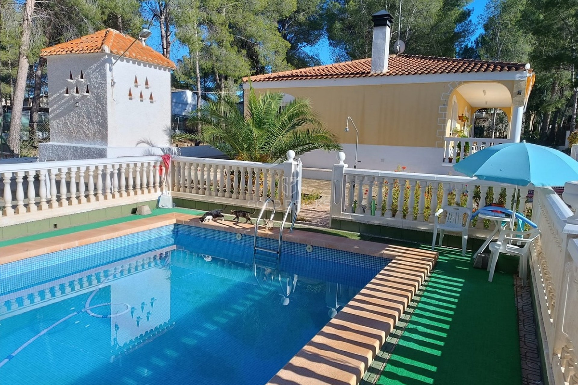 Sale · House - Detached Villa · Yecla · Yecla Centro