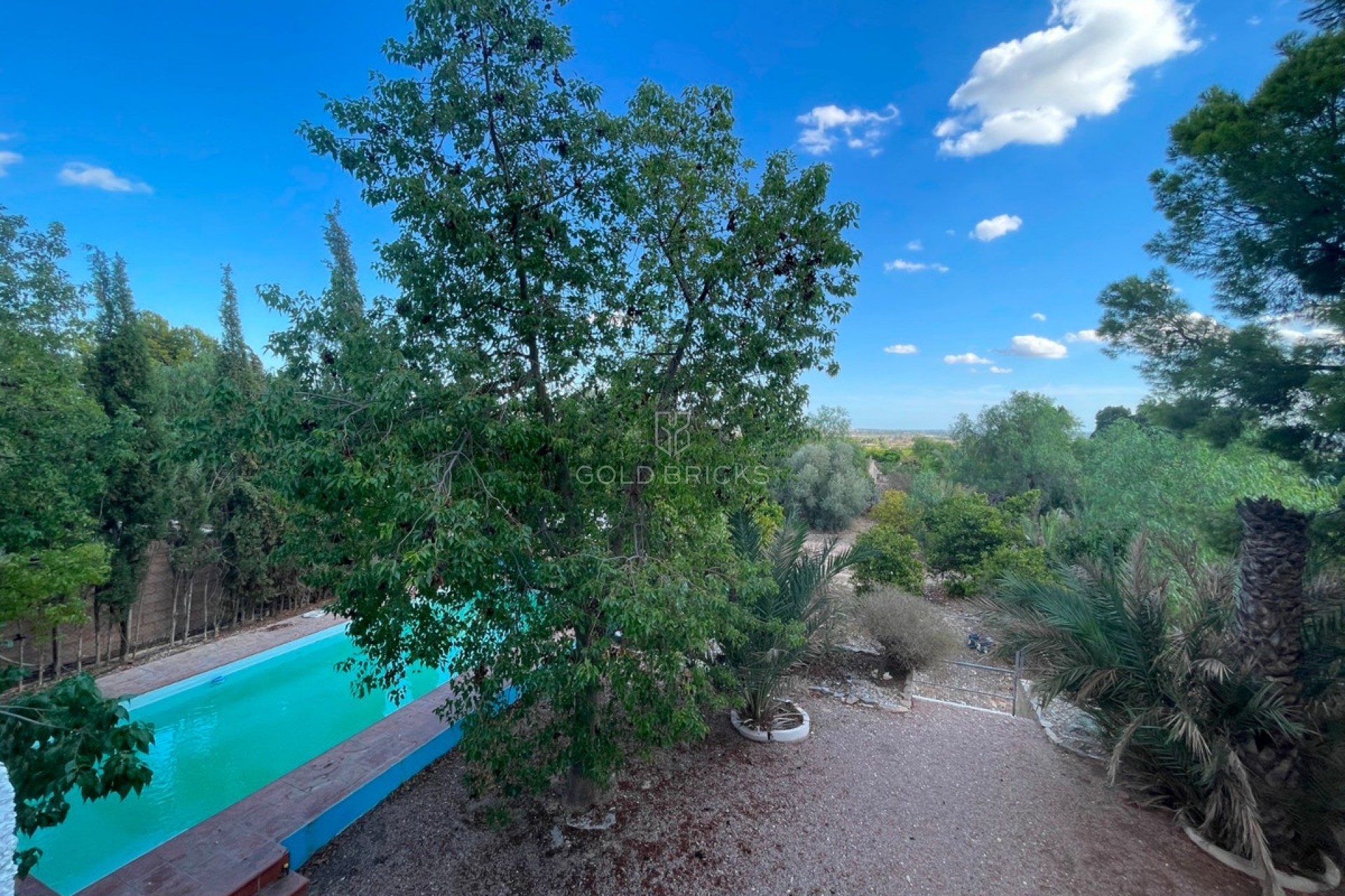 Sale · House - Finca - Cortijo · Albatera · Albatera Centro