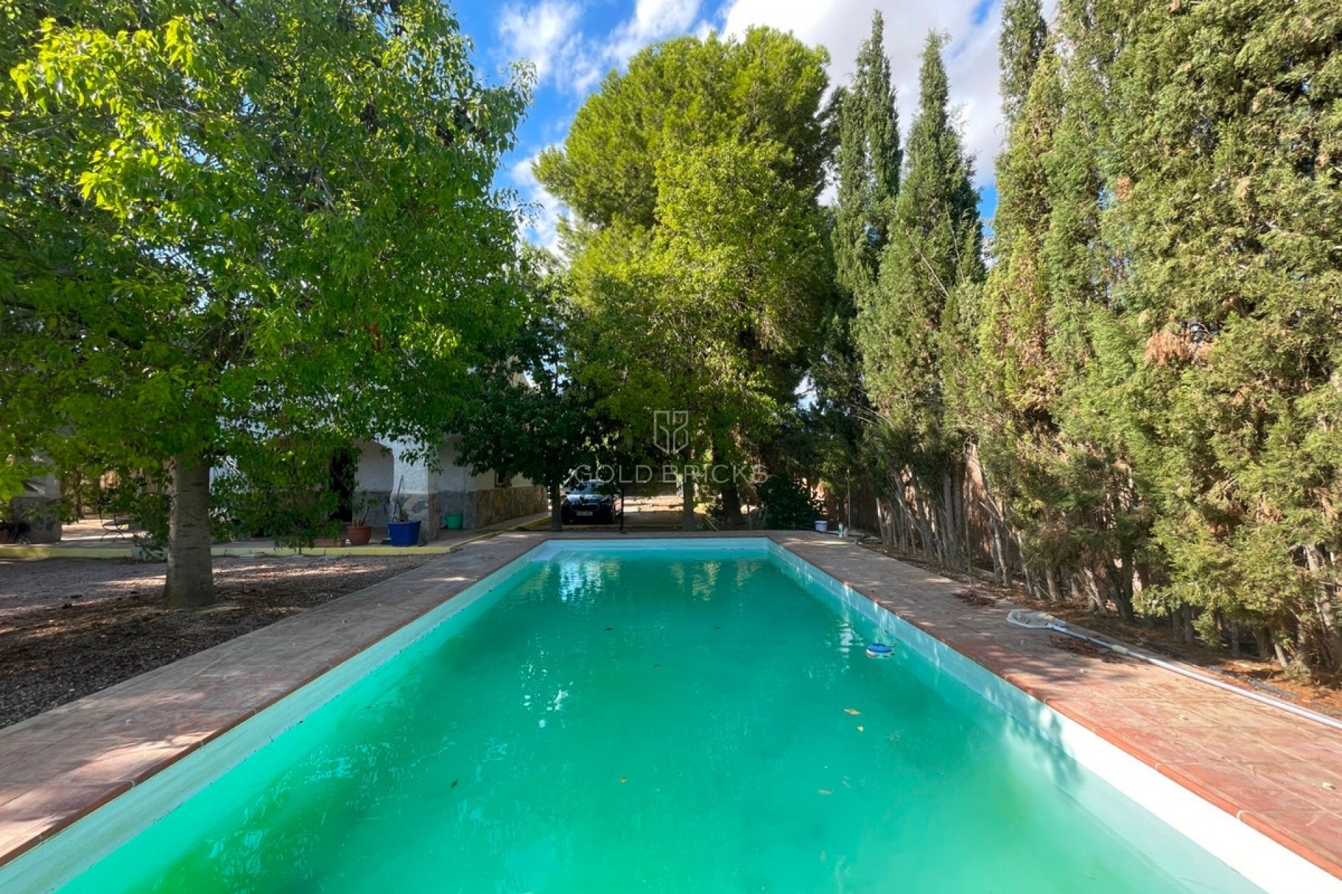 Sale · House - Finca - Cortijo · Albatera · Albatera Centro