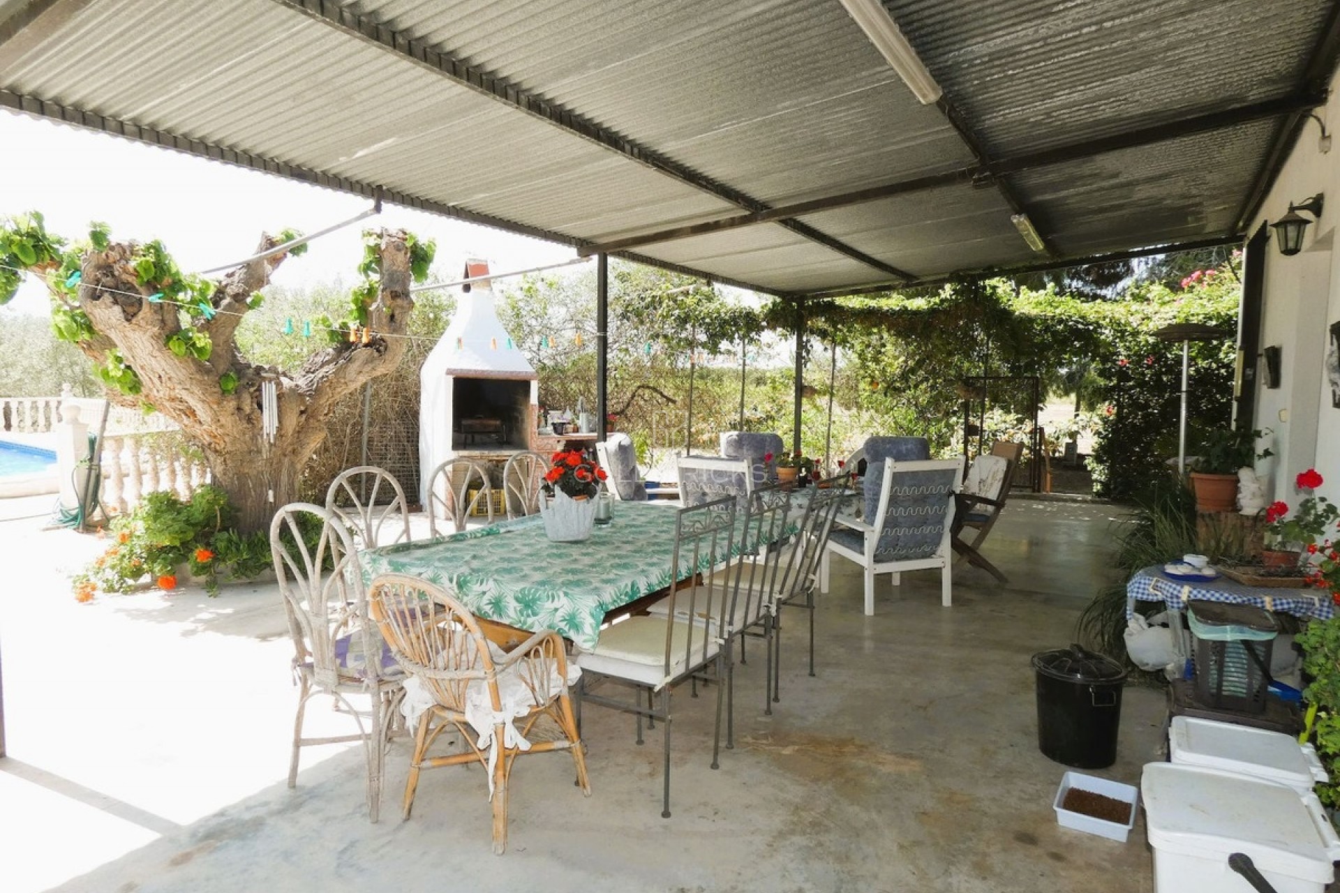 Sale · House - Finca - Cortijo · Dolores · Dolores Centro