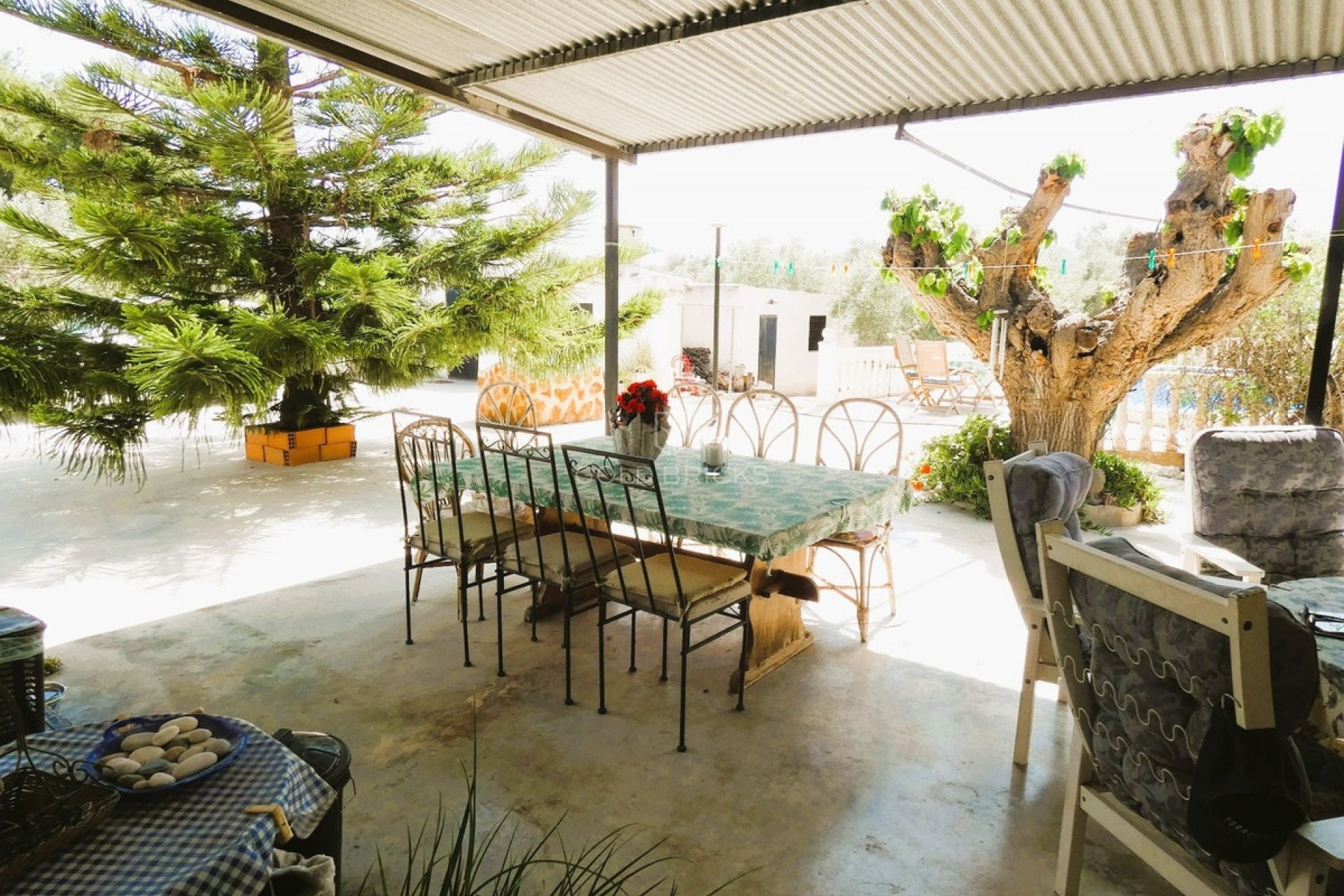 Sale · House - Finca - Cortijo · Dolores · Dolores Centro