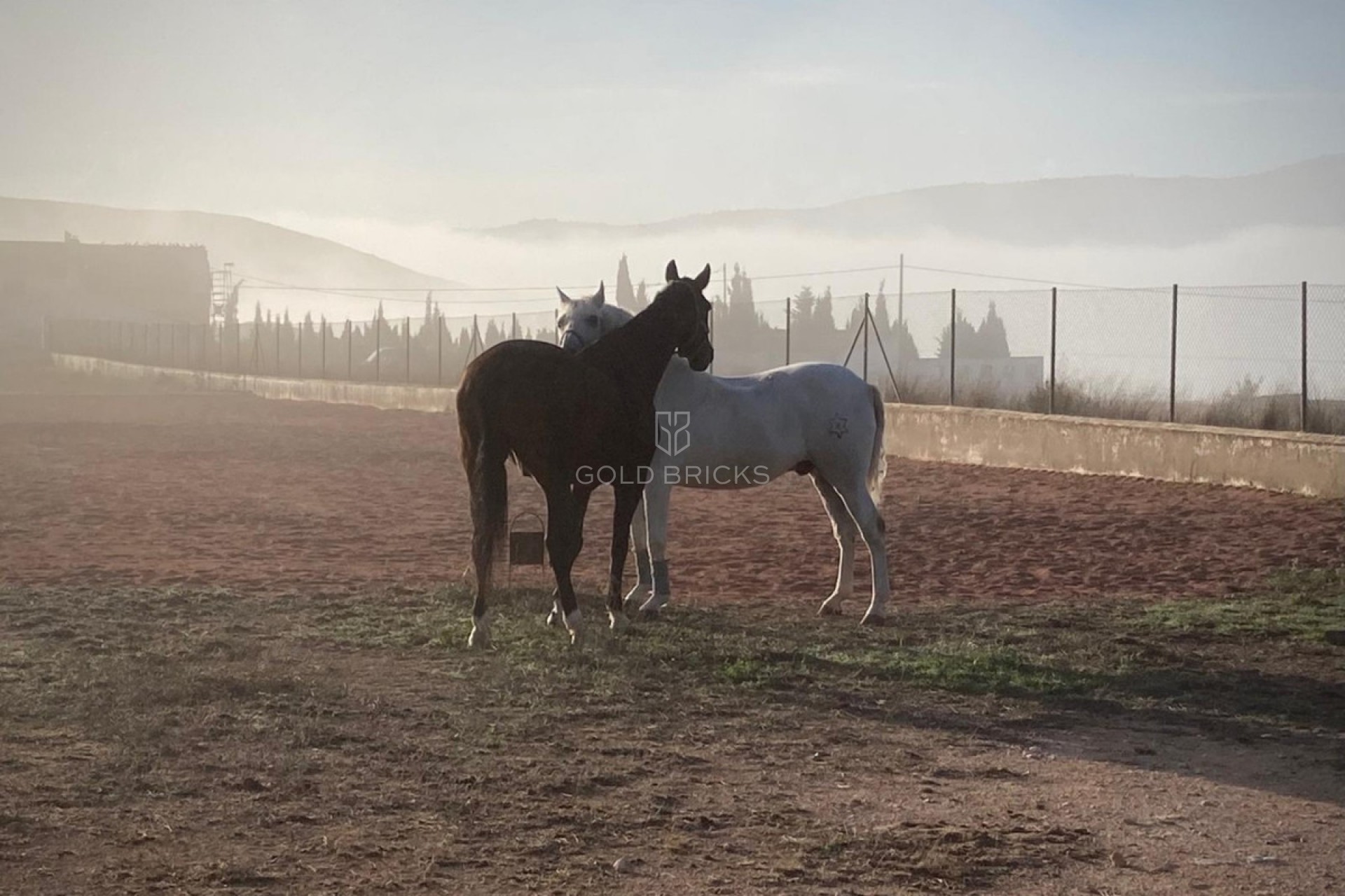 Sale · House - Finca - Cortijo · Jumilla · Torre del Rico