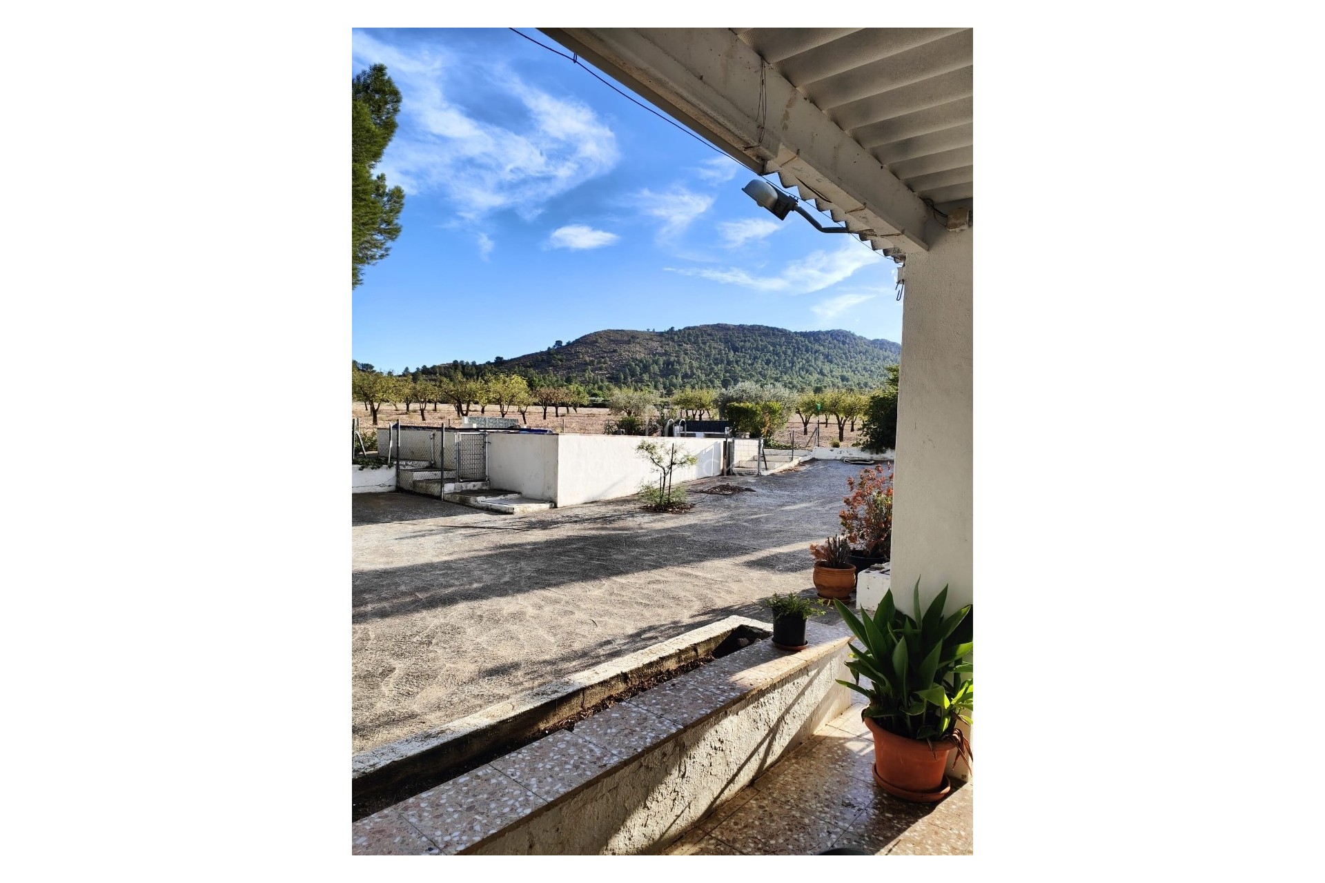 Sale · House - Finca - Cortijo · Yecla · Yecla Centro