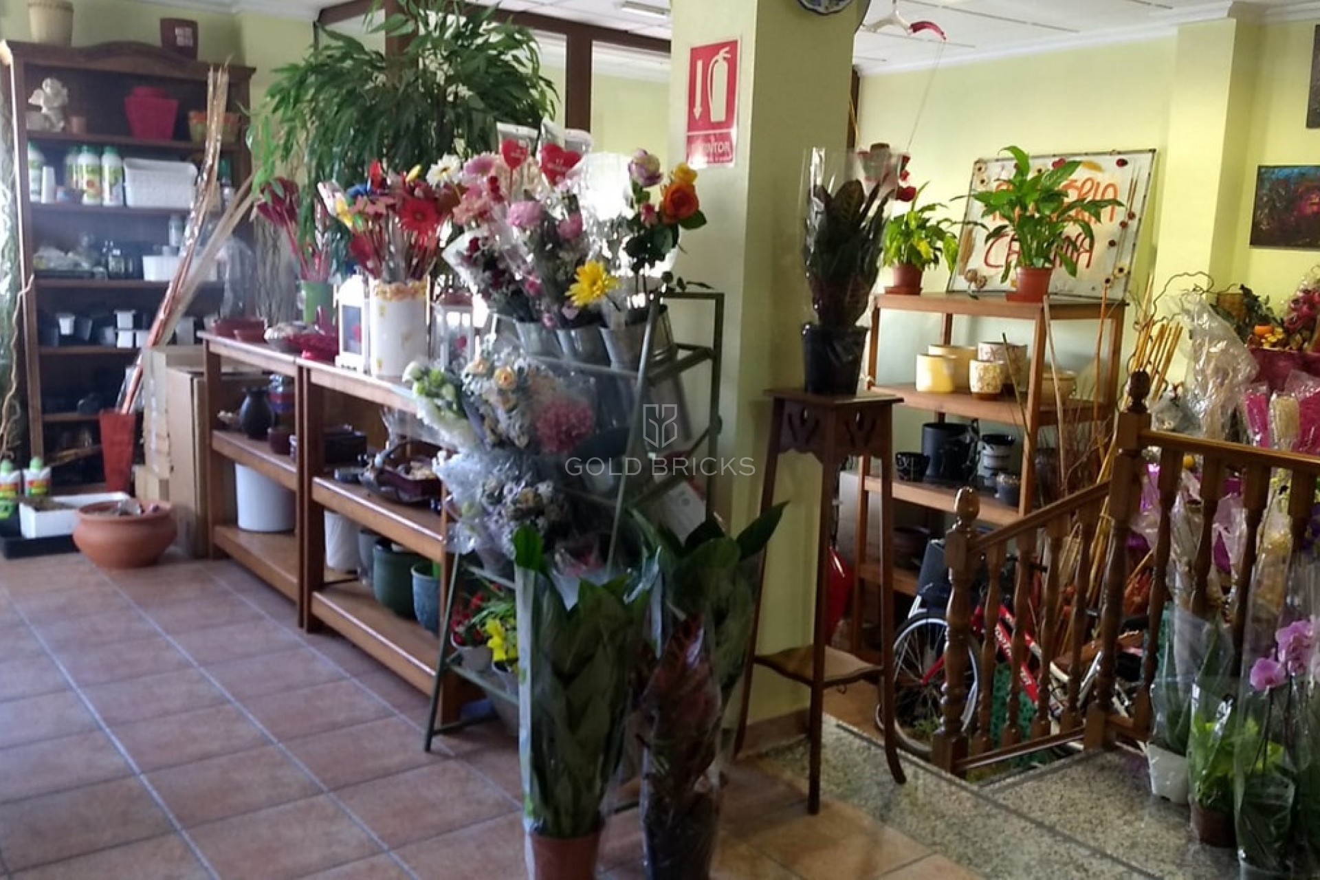 Sale · House - Townhouse · Pinoso · Pinoso Centro