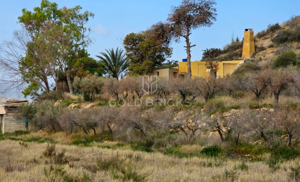  - Sprzedaż - Águilas - RS-90617