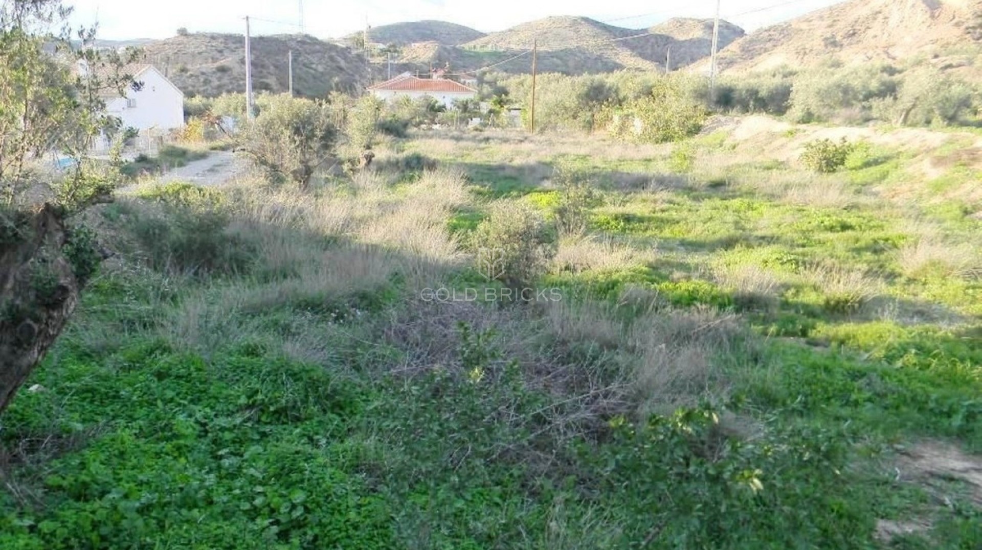  · Sprzedaż · Albox · Albox