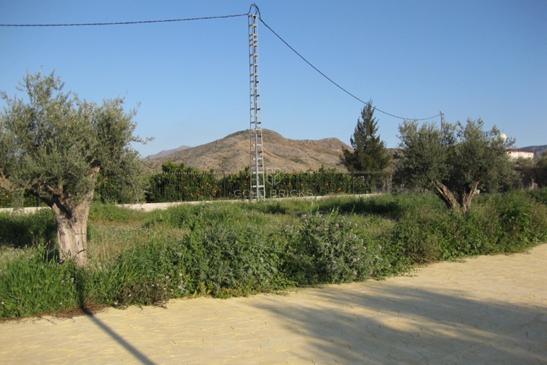 Sprzedaż ·  · Benferri