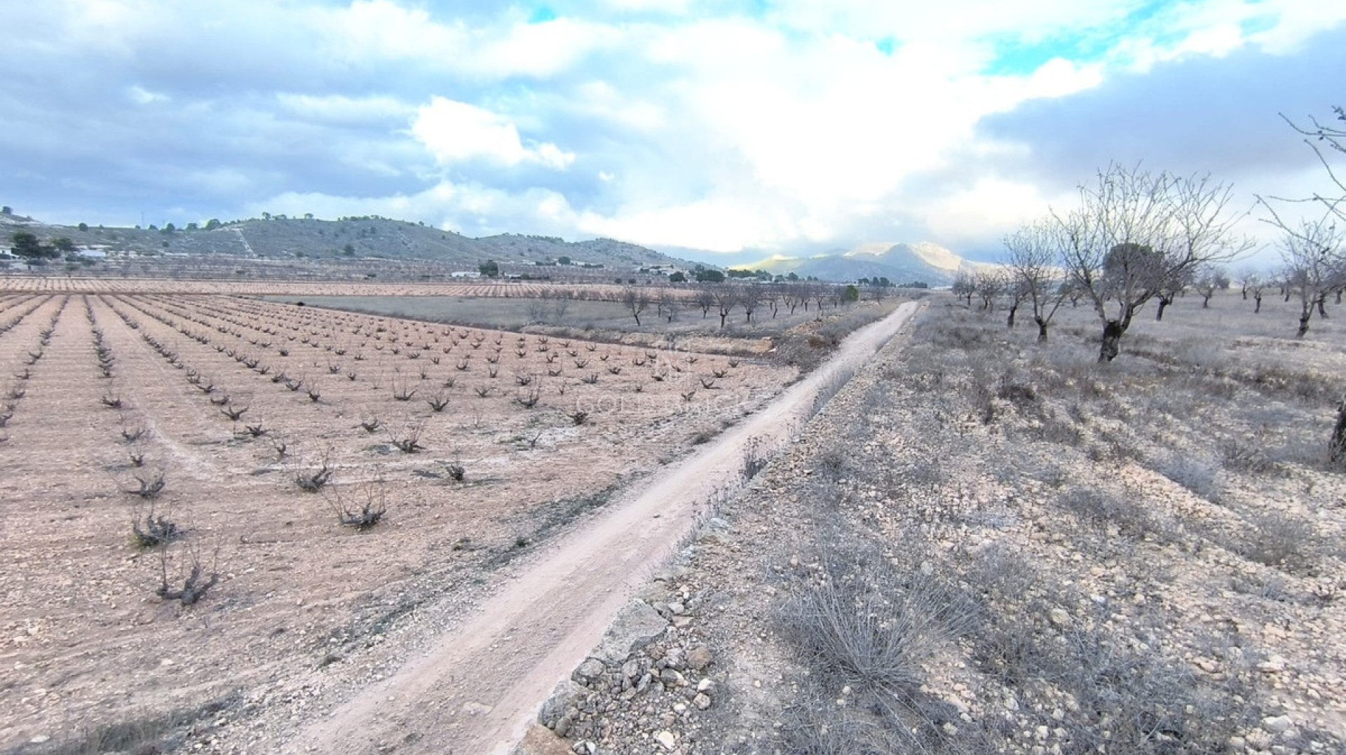  · Sprzedaż · Jalón · La Solana