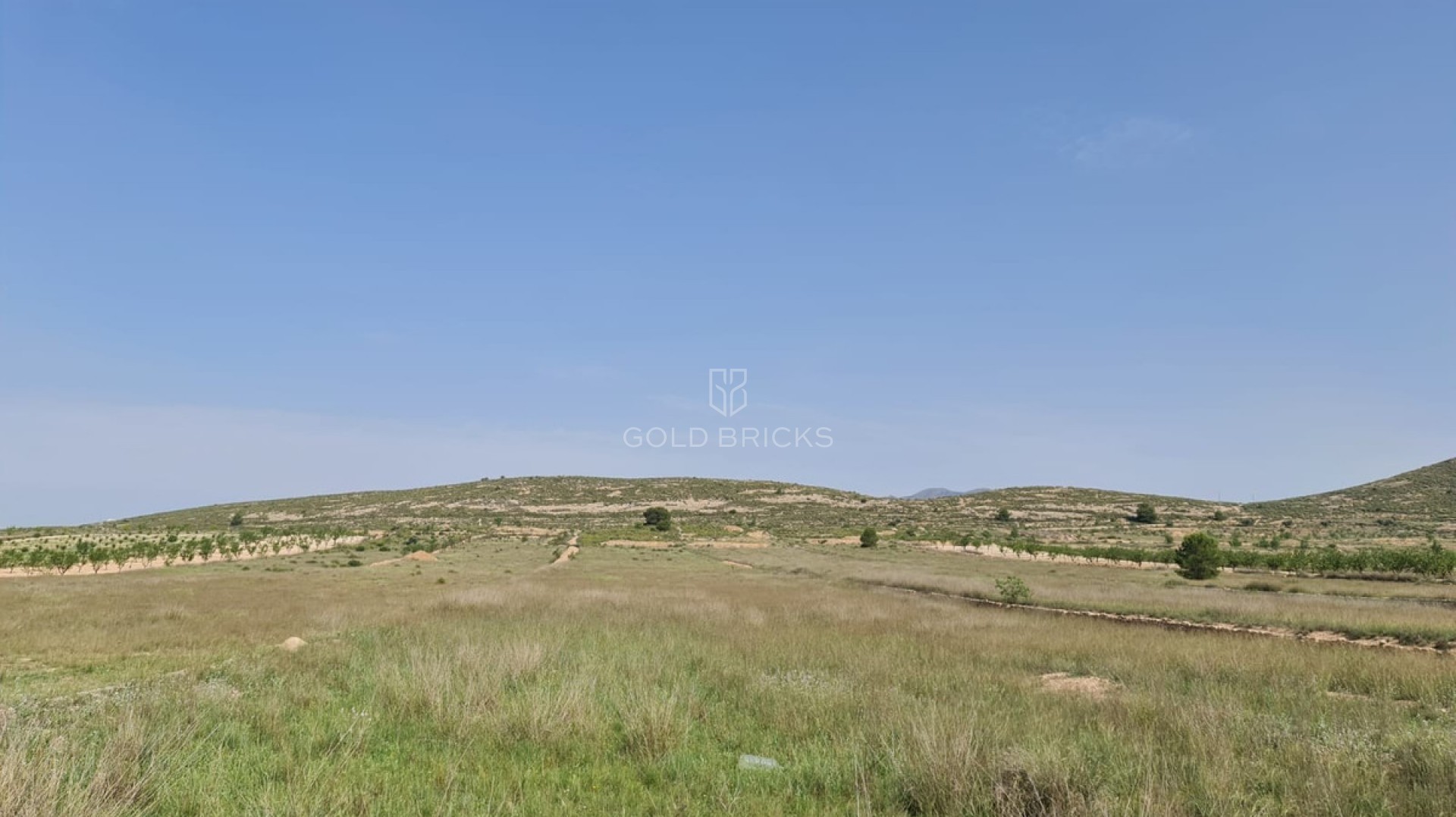  · Sprzedaż · Jumilla · Jumilla Centro