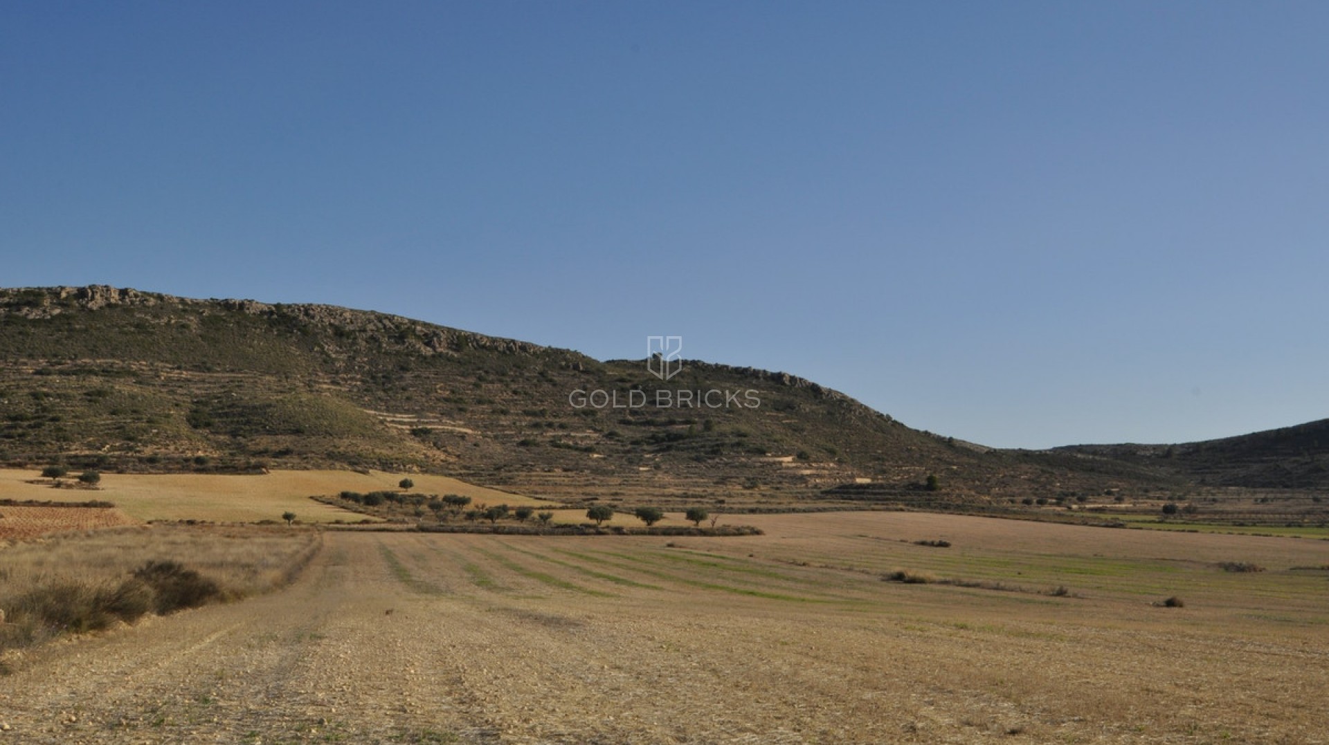  · Sprzedaż · Jumilla · Torre del Rico