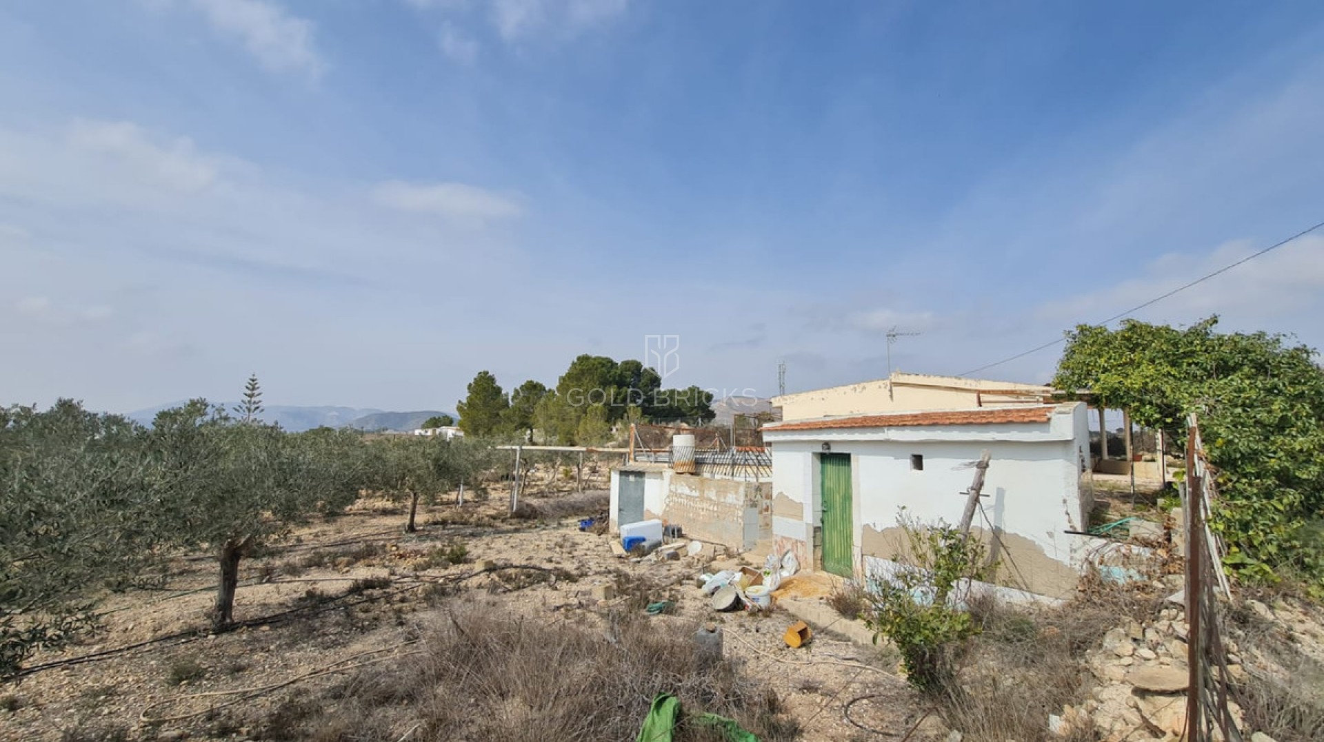  · Sprzedaż · La Romana · La Romana Centro