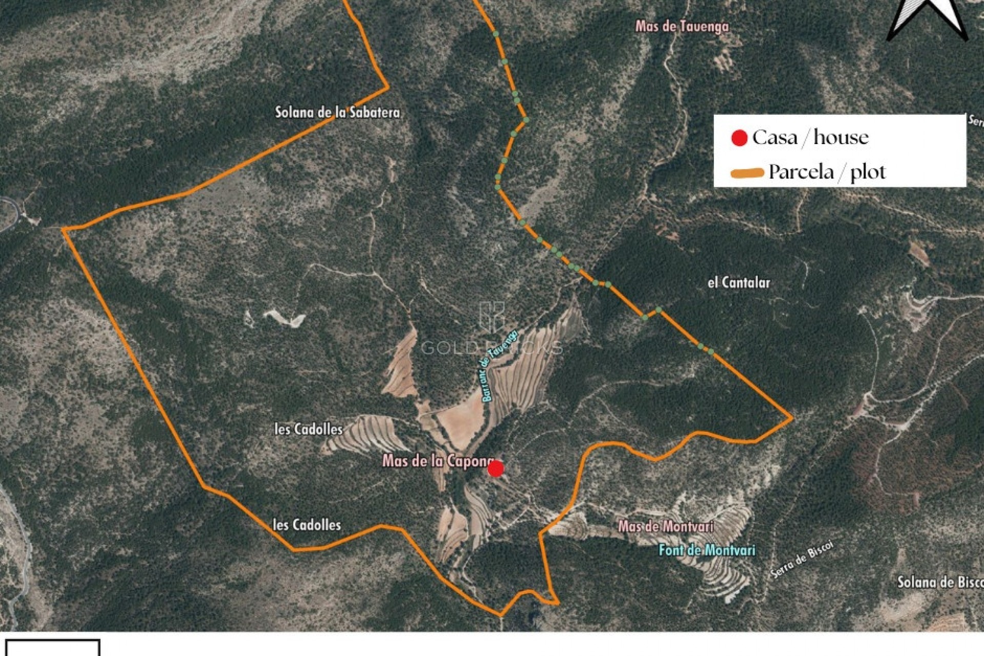 Sprzedaż ·  · Onil · Onil Centro