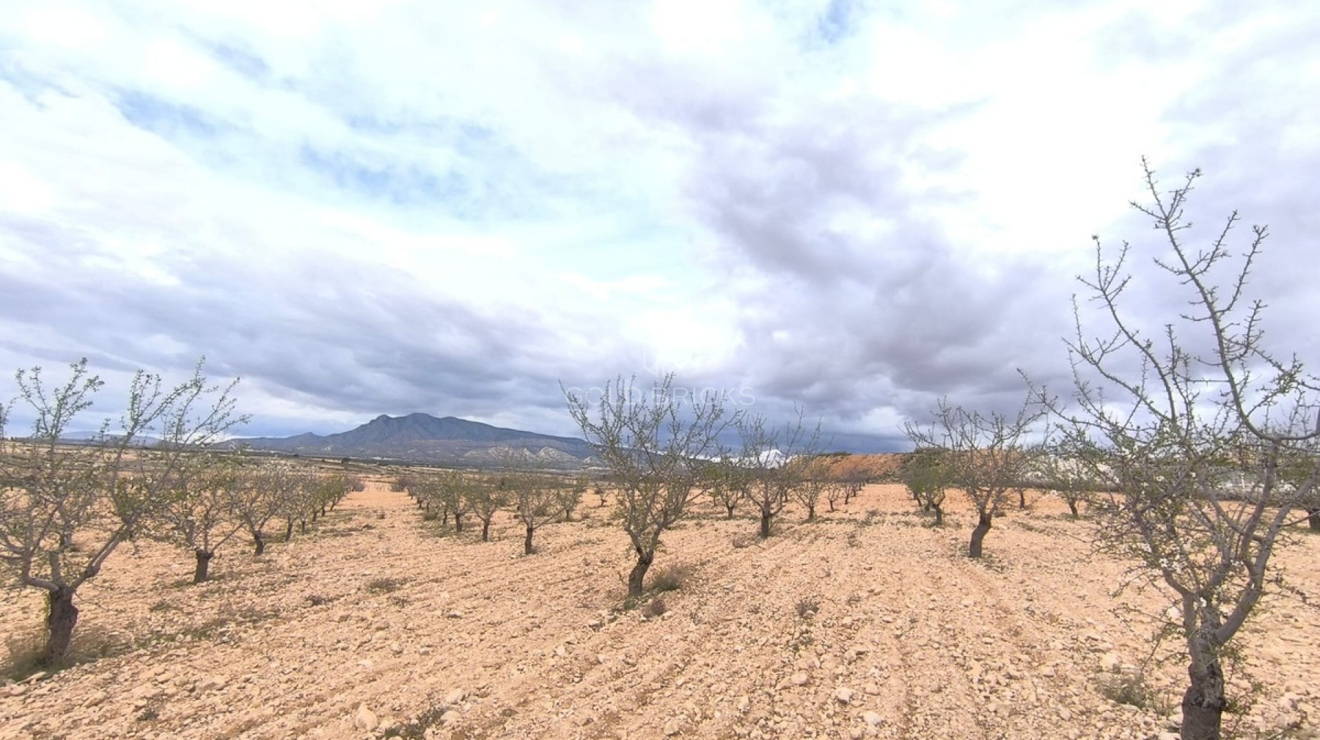  · Sprzedaż · Pinoso · Pinoso Centro