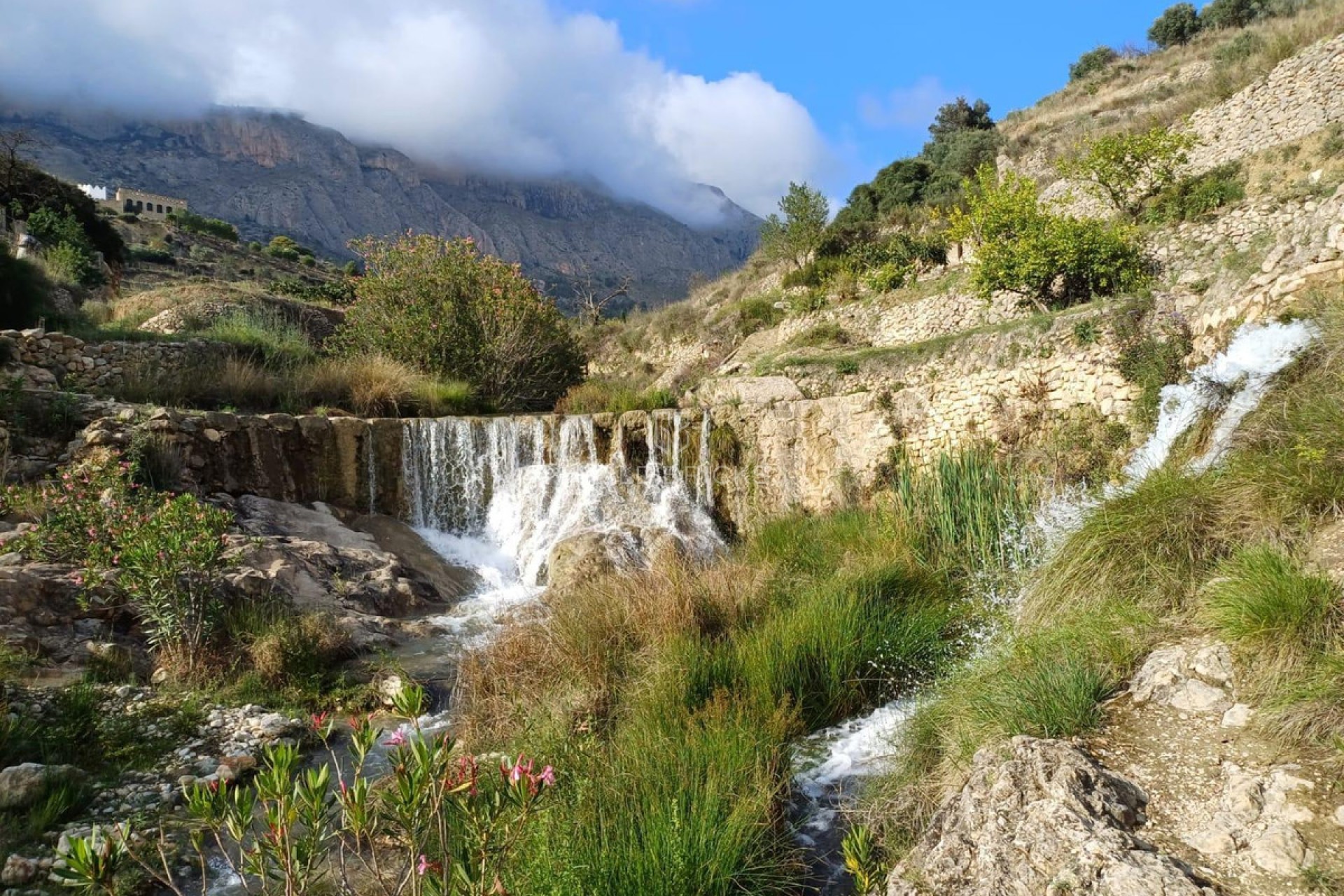 Sprzedaż ·  · Sella