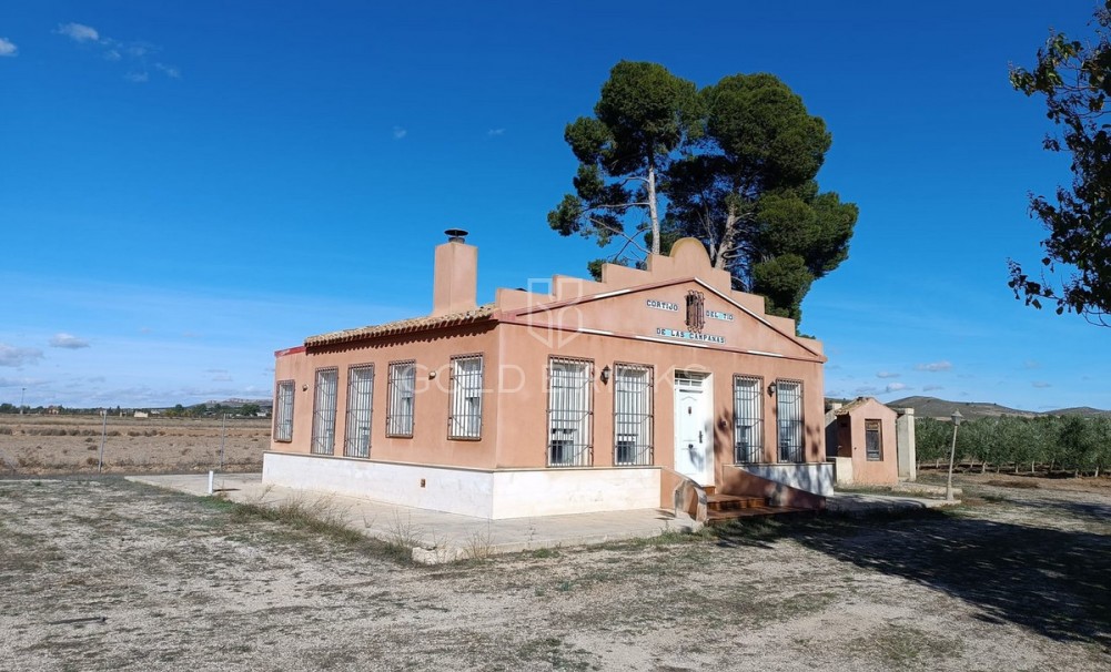  - Sprzedaż - Yecla - RS-36585