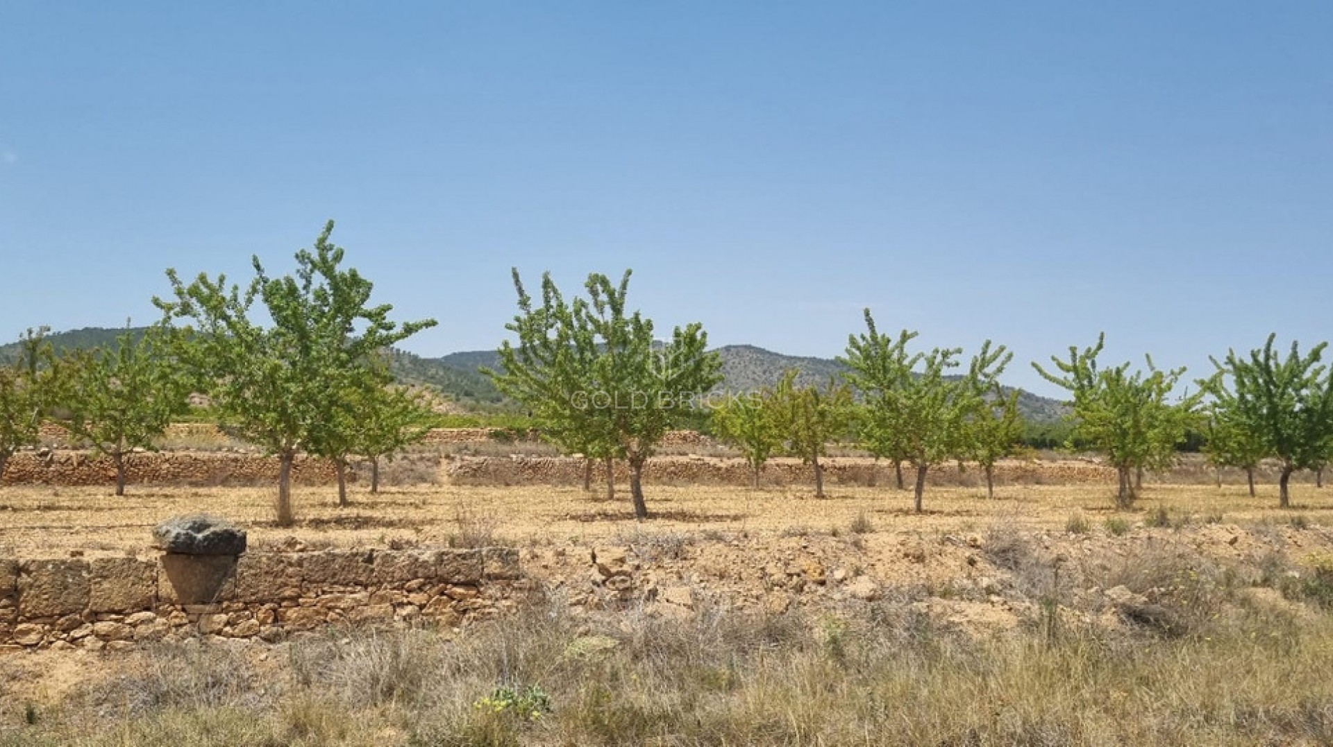  · Sprzedaż · Yecla · Yecla Centro