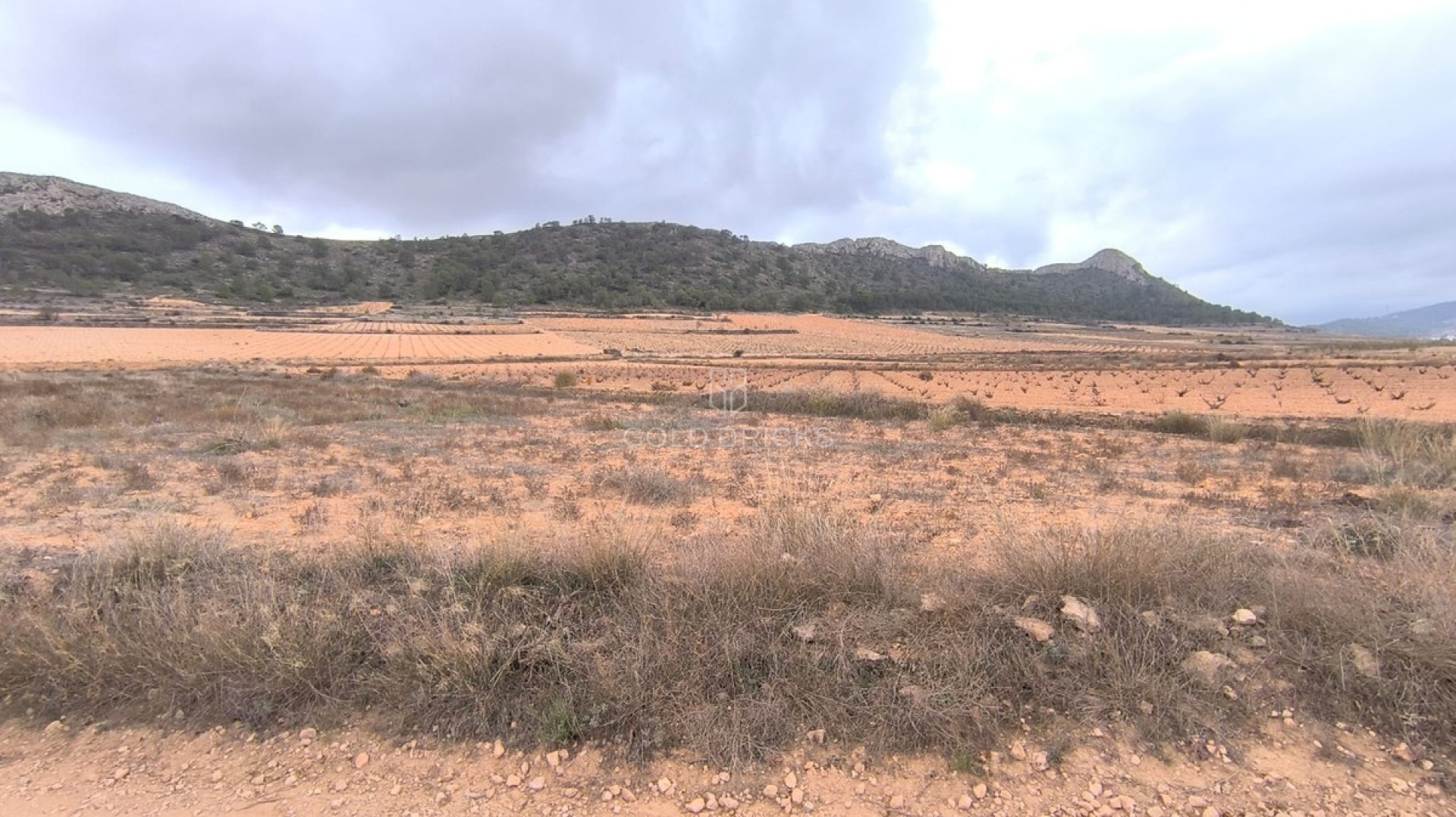  · Wederverkoop · Jalón · La Solana