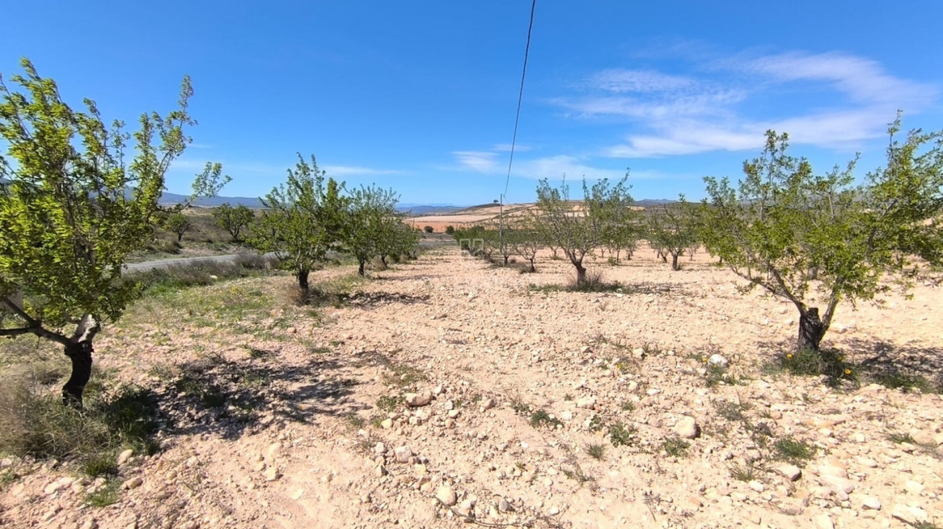  · Wederverkoop · Jumilla · Jumilla Centro