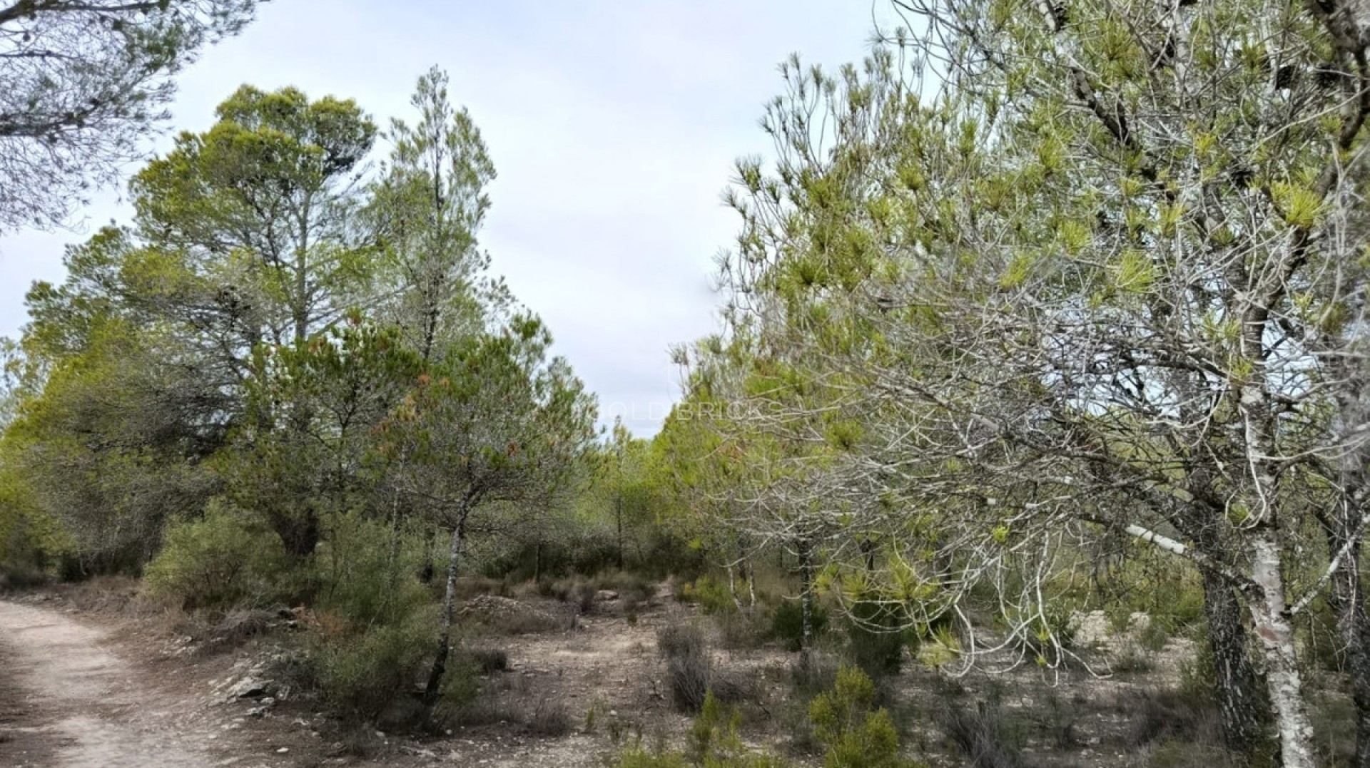  · Wederverkoop · Monóvar - Monòver · Monóvar - Monòver Centro