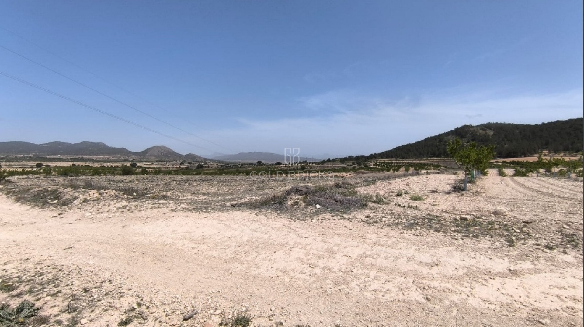  · Wederverkoop · Monóvar - Monòver · Monóvar - Monòver Centro