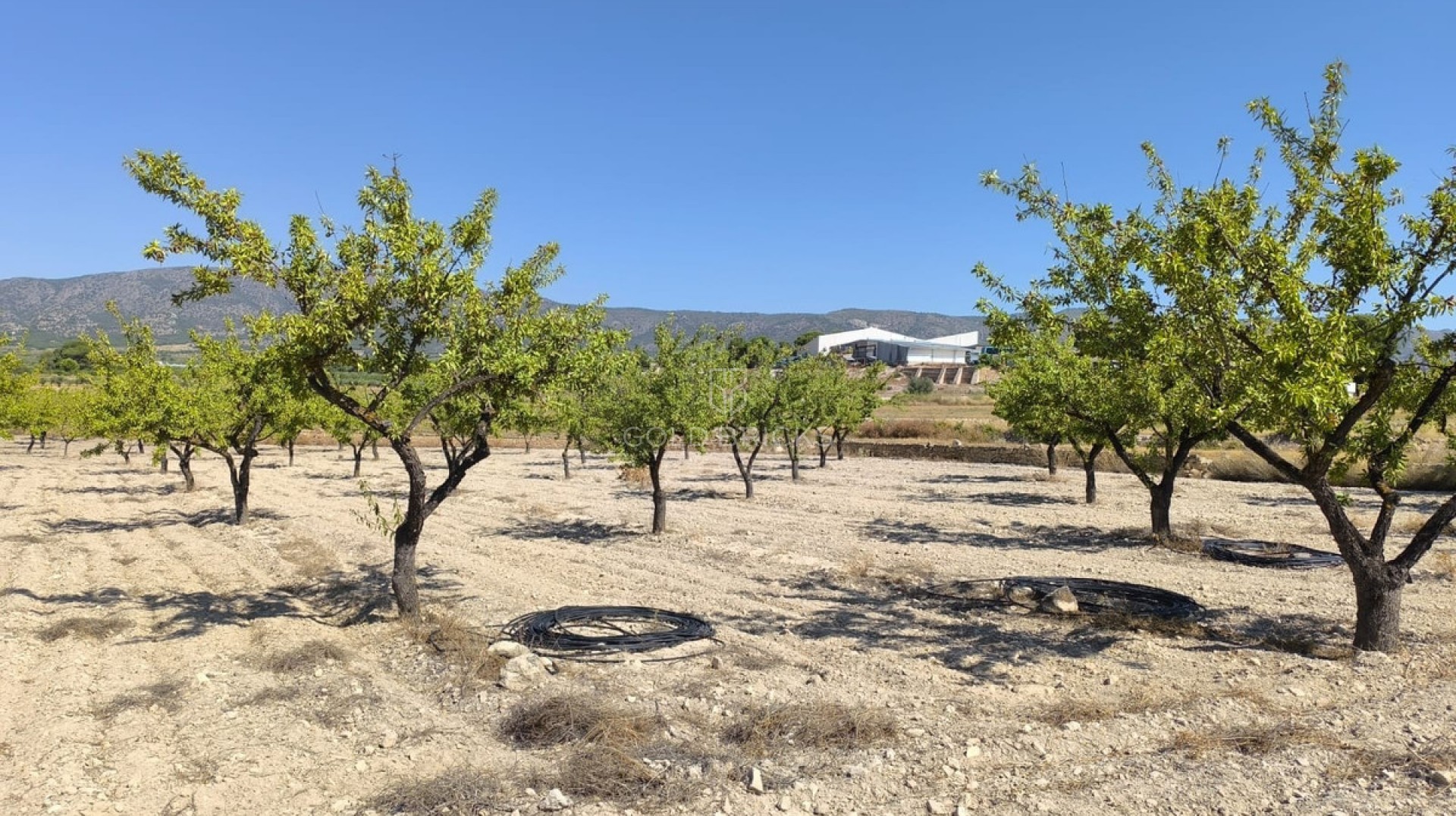  · Wederverkoop · Monóvar - Monòver · Monóvar - Monòver Centro