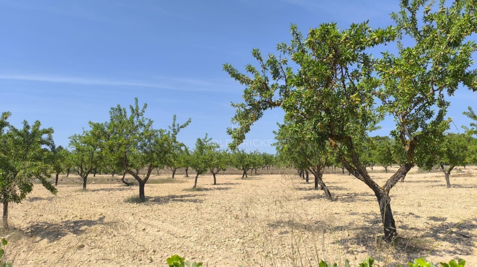  · Wederverkoop · Monóvar - Monòver · Monóvar - Monòver Centro