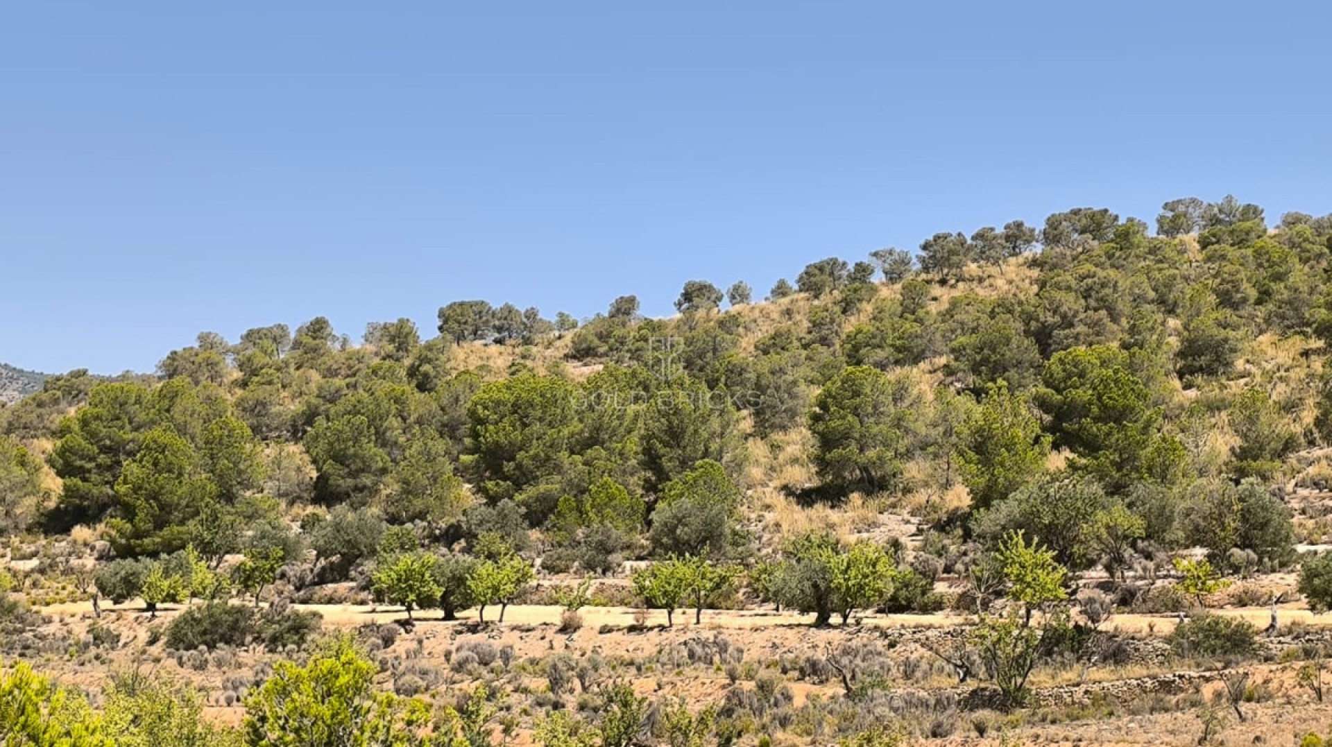  · Wederverkoop · Monóvar - Monòver · Monóvar - Monòver Centro