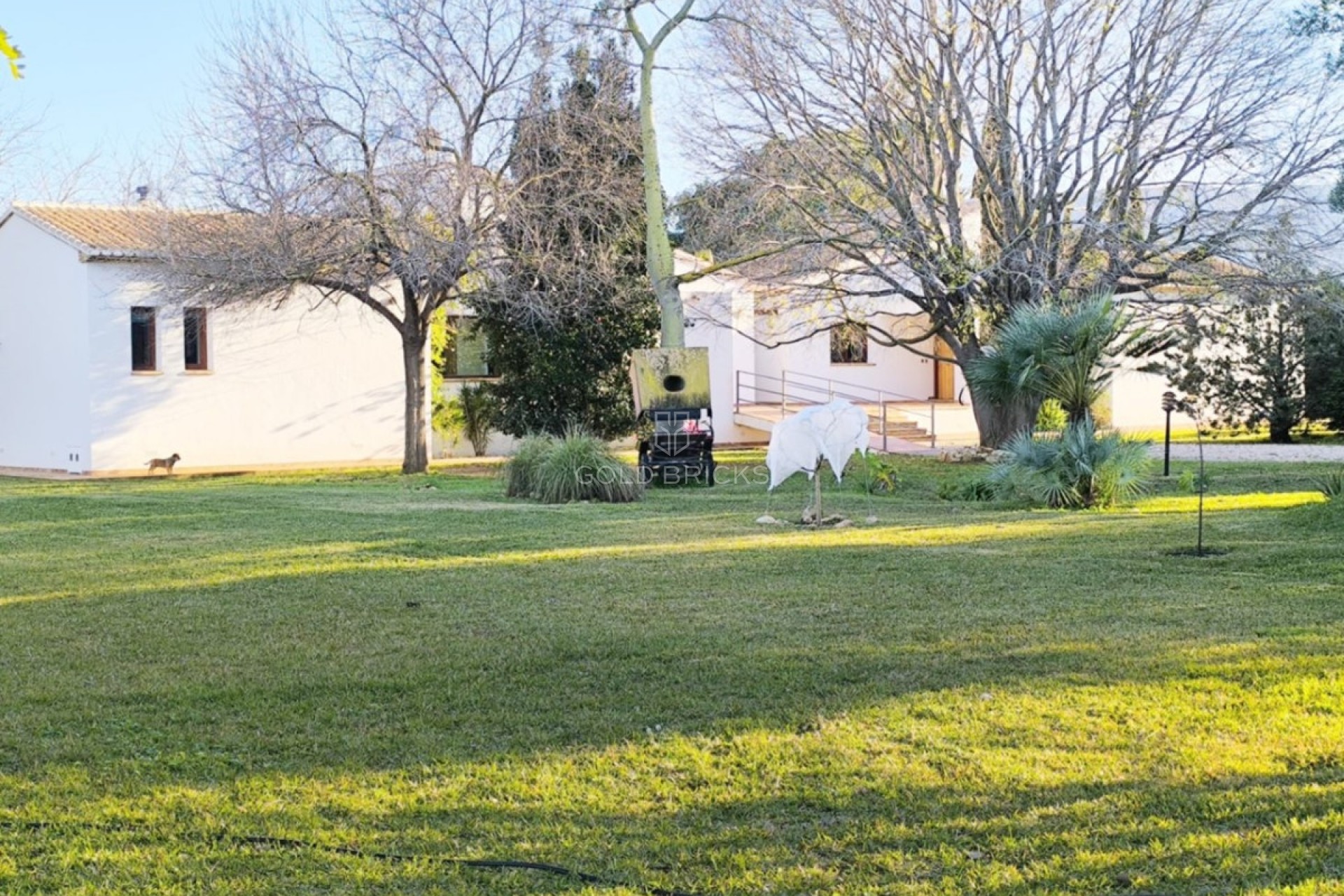 Wederverkoop ·  · Ondara · Ondara Centro