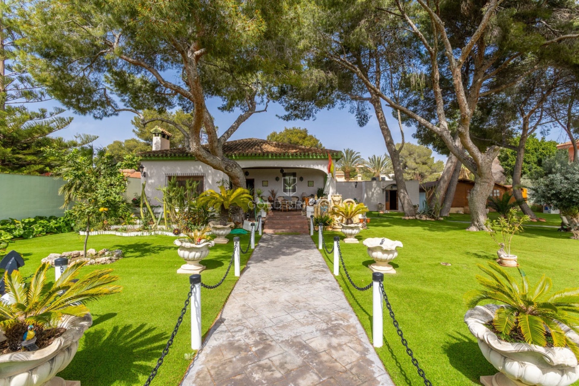 Wederverkoop ·  · Orihuela · Campoamor