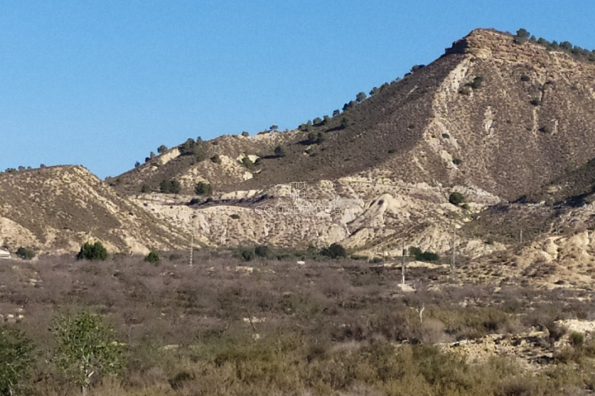 Wederverkoop ·  · Orihuela · Orihuela Centro