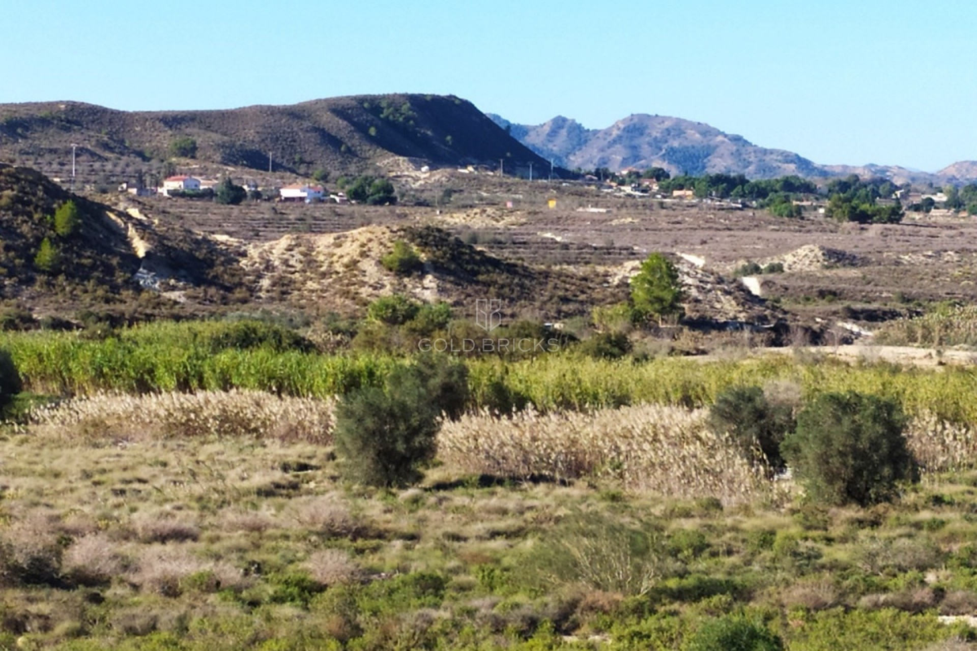 Wederverkoop ·  · Orihuela · Orihuela Centro