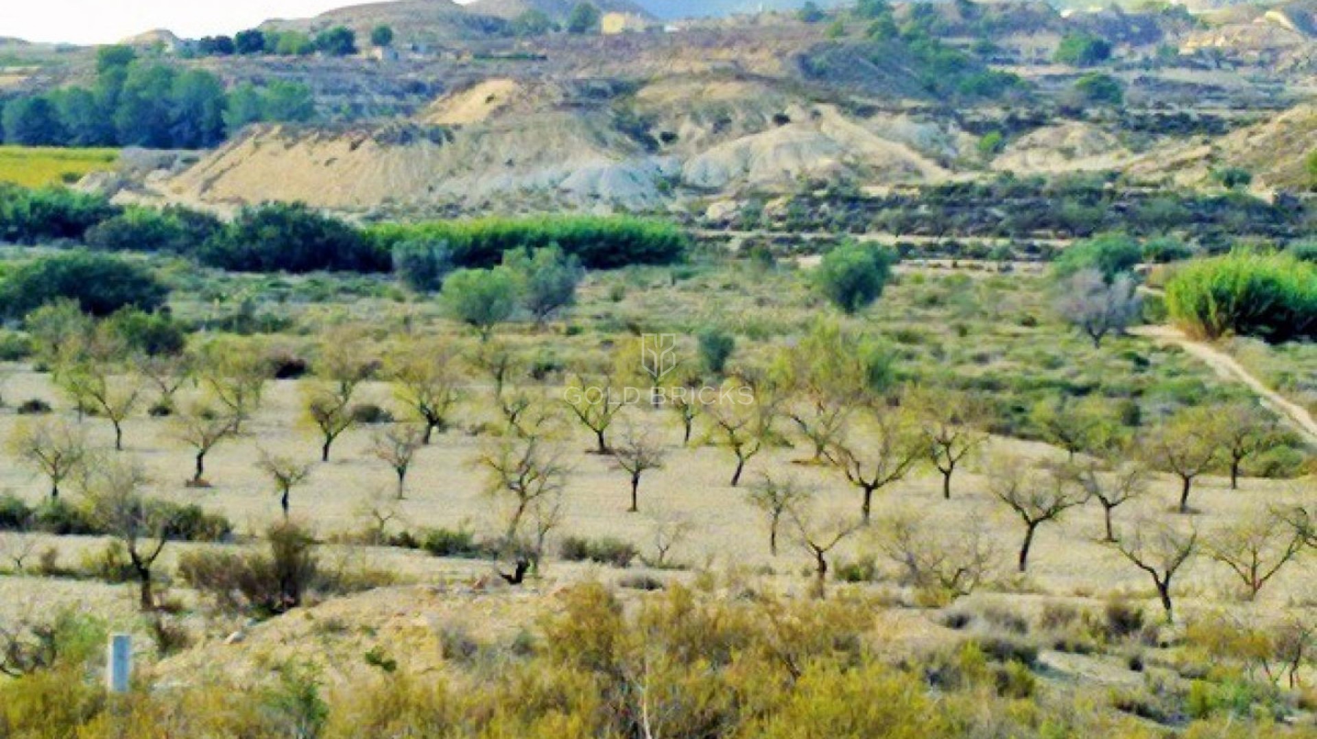  · Wederverkoop · Orihuela · Torremendo