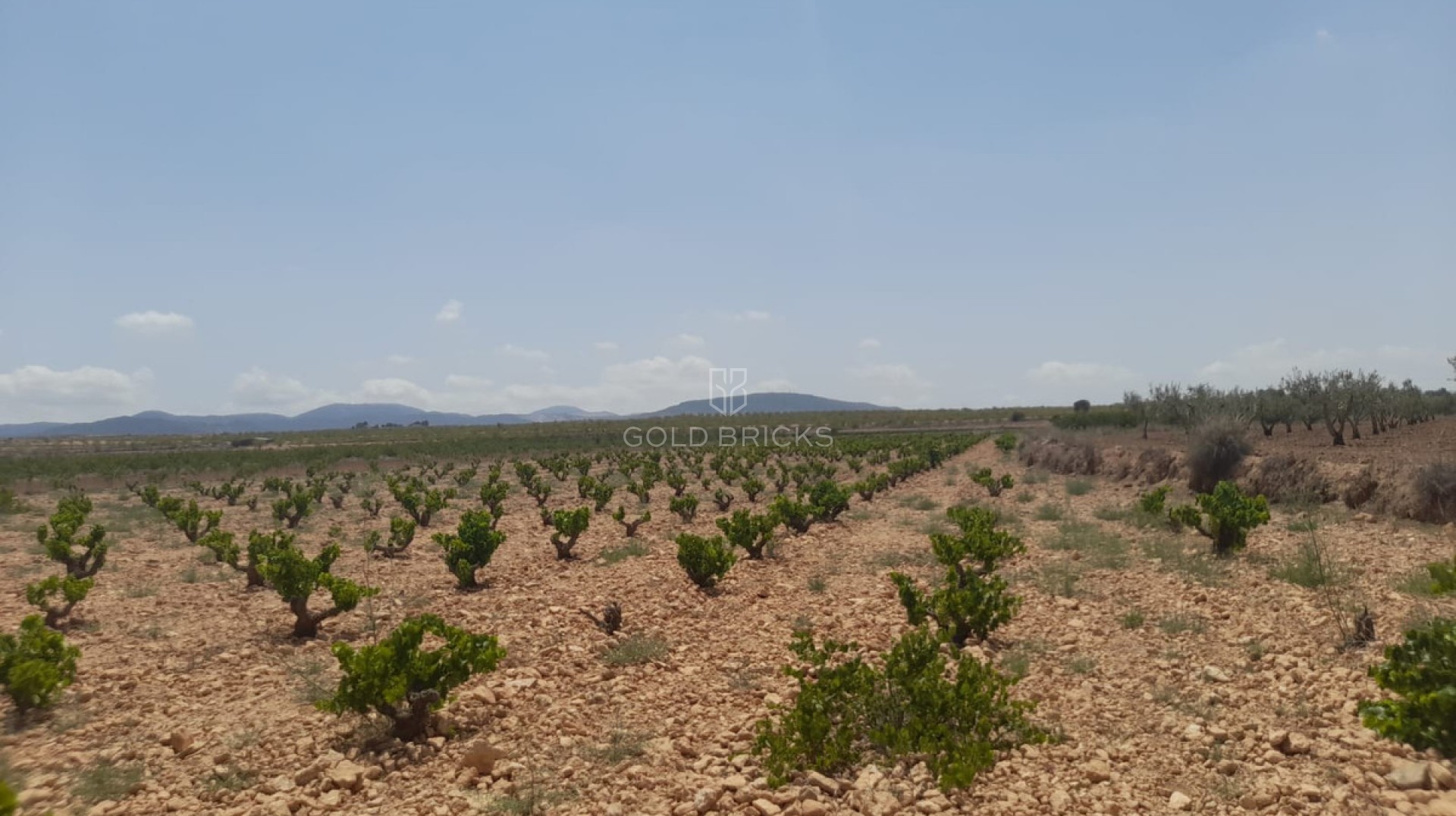  · Wederverkoop · Pinoso · Pinoso Centro