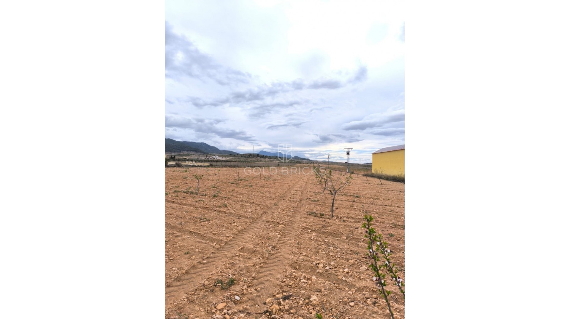  · Wederverkoop · Pinoso · Pinoso Centro