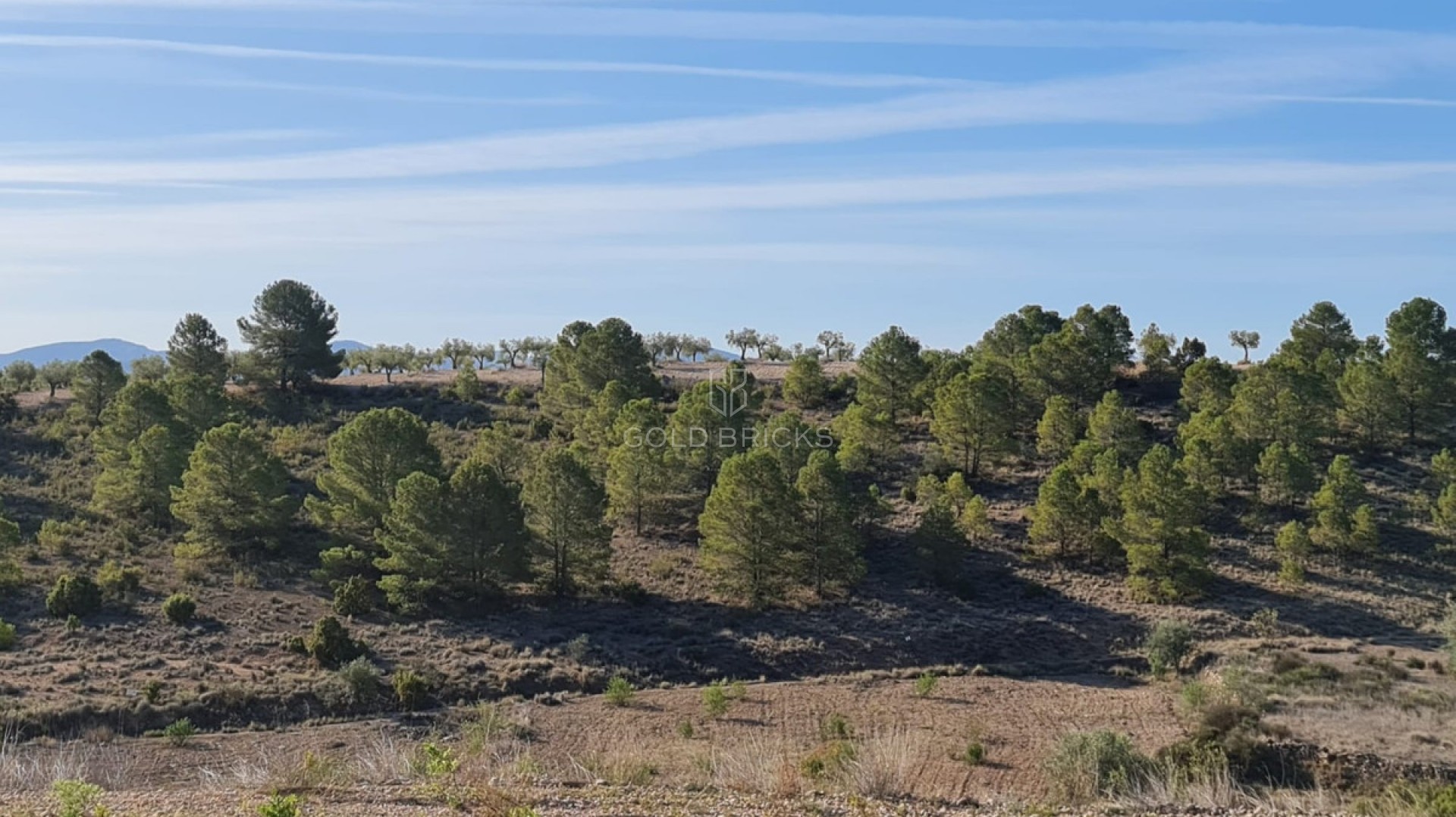  · Wederverkoop · Yecla · Raspay