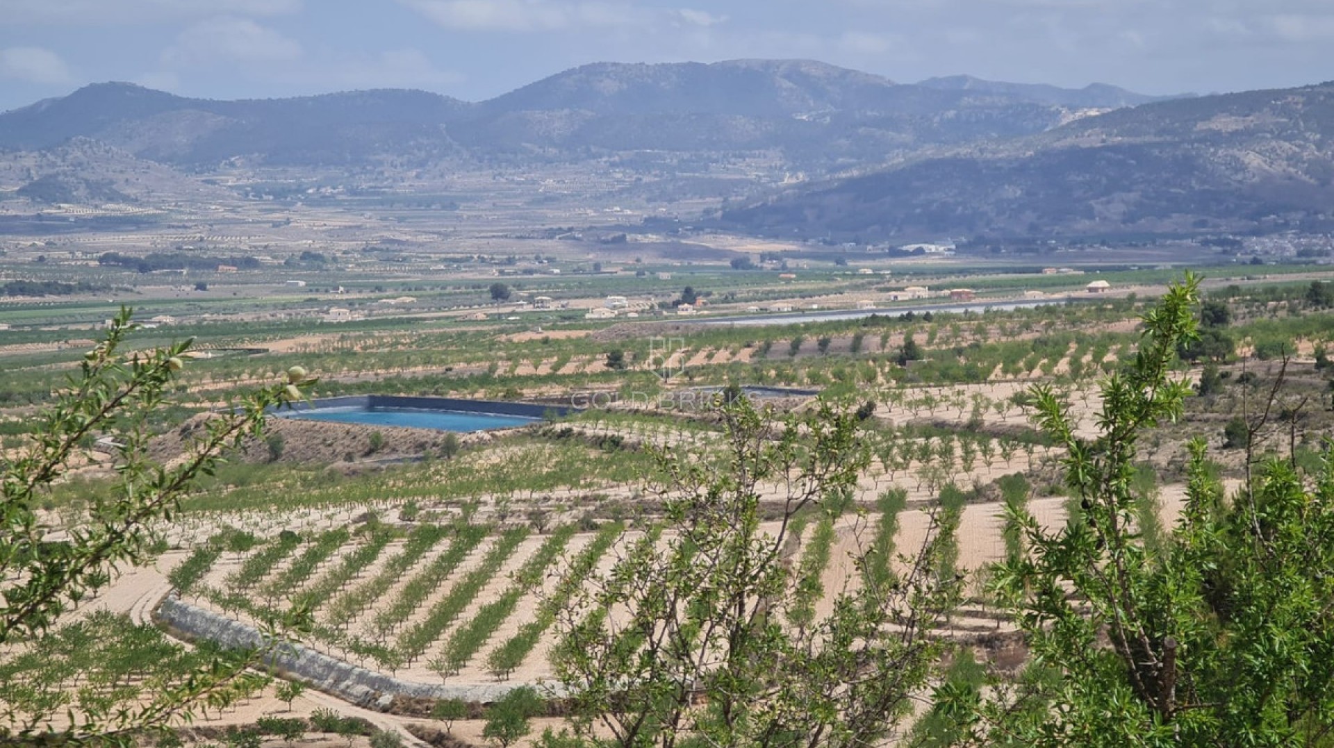  · Wederverkoop · Yecla · Yecla Centro