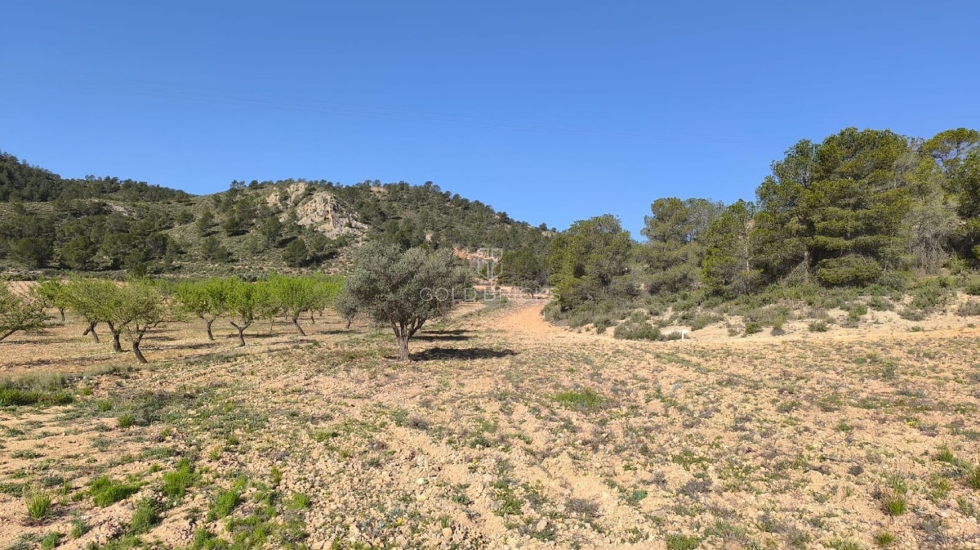  · Wederverkoop · Yecla · Yecla Centro