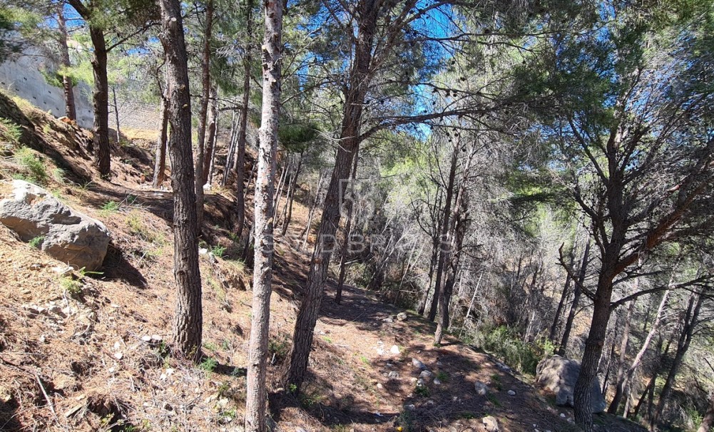 Sale · Plots and Land · Calpe · Oltamar