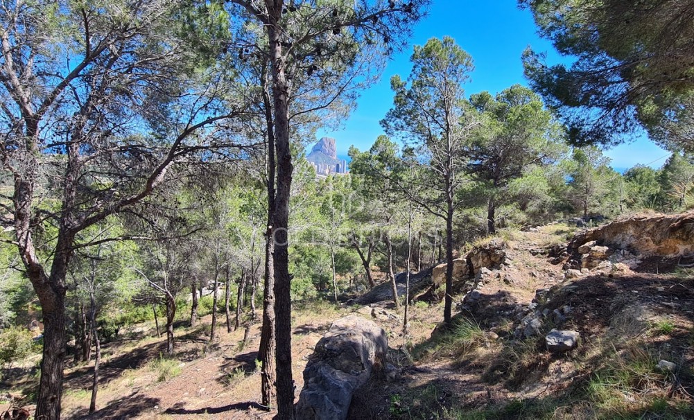 Sale · Plots and Land · Calpe · Oltamar