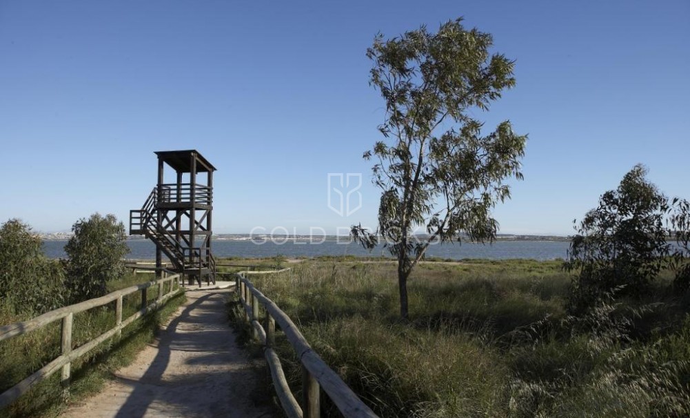 Nouvelle construction · Attique · San Miguel de Salinas · Pueblo