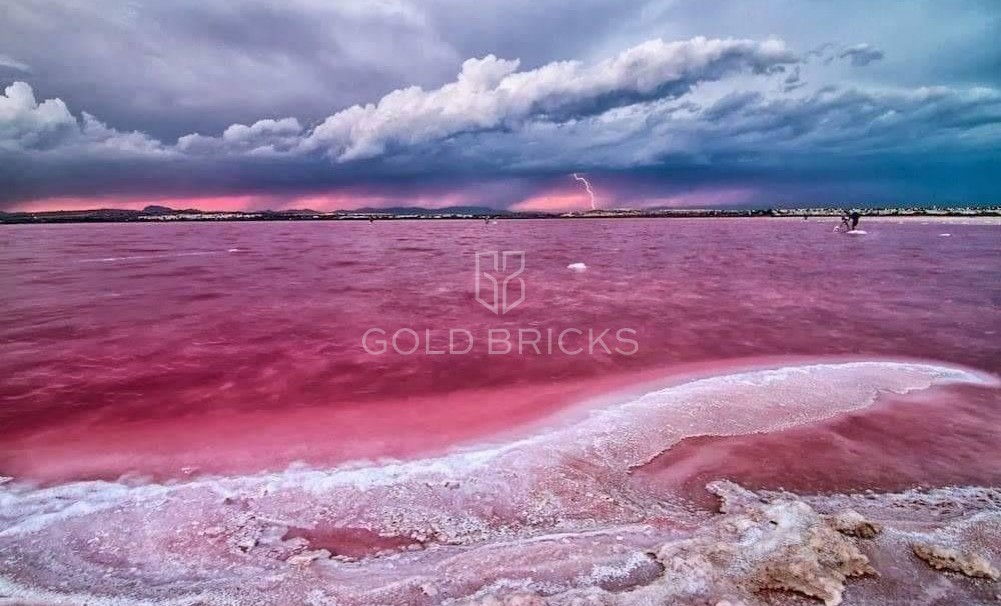 New Build · Bungalow · Torrevieja · Altos del Sol