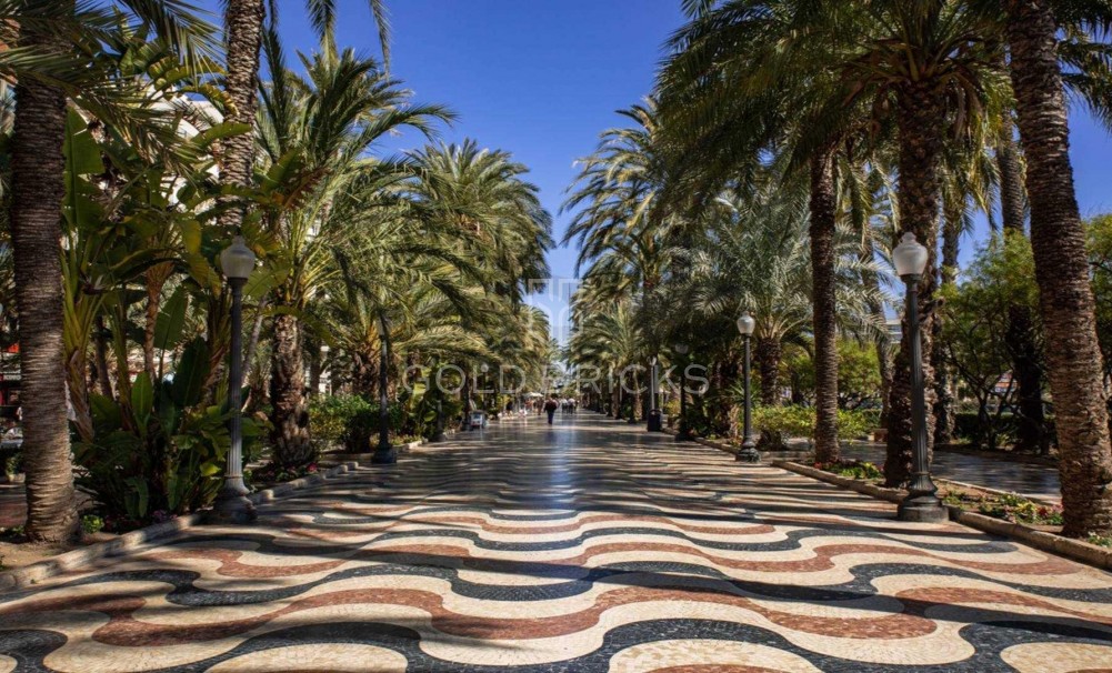 New Build · Penthouse · Alicante · Centro