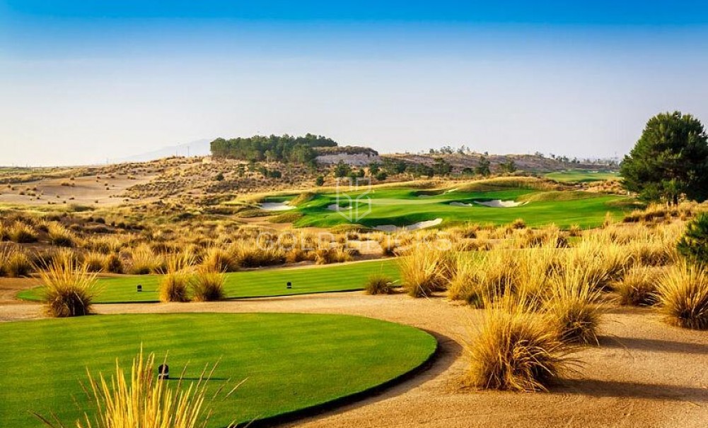 New Build · Villa · Alhama de Murcia · Condado de Alhama