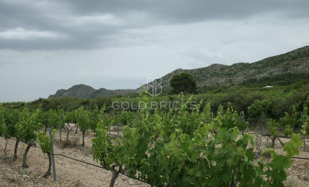 Nowa konstrukcja · Villa · Yecla