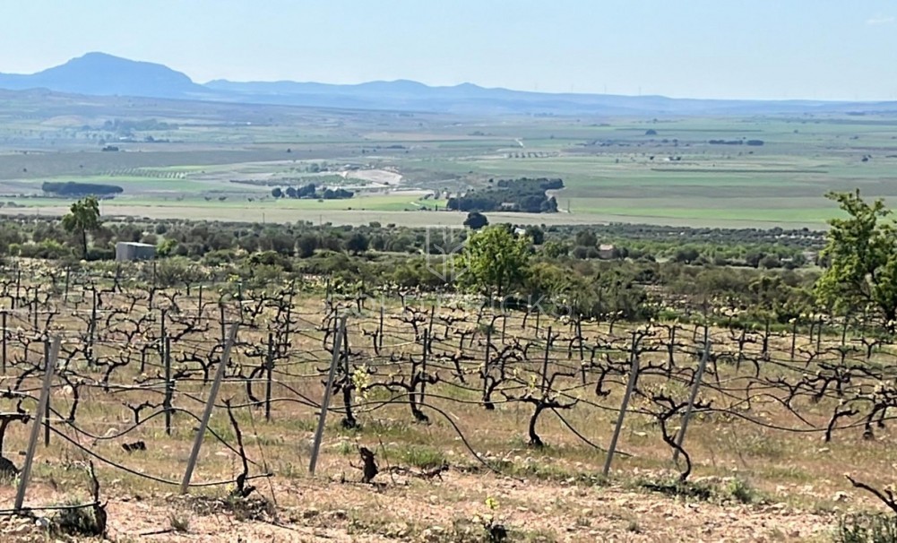 New Build · Villa · Yecla