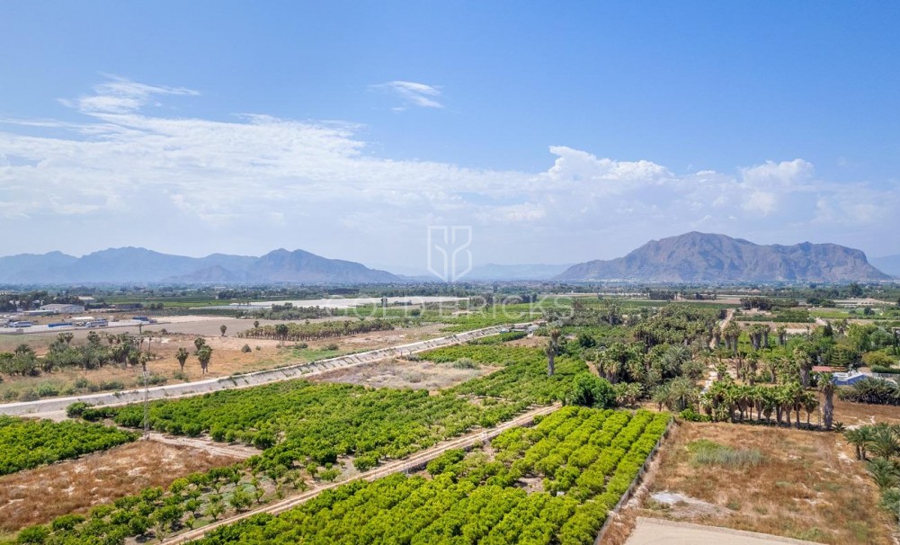 Nowa konstrukcja · Apartment · Jacarilla · pueblo