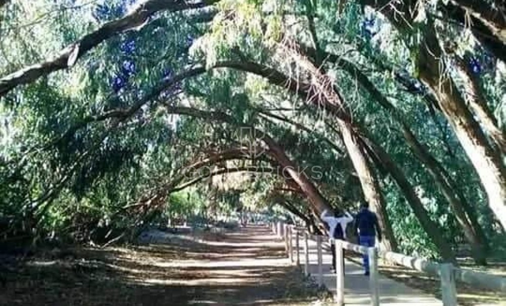 Nieuwbouw · Bungalow · Torrevieja · Altos del Sol