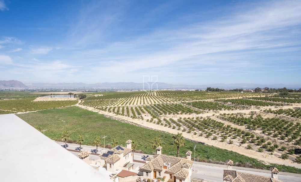 New Build · Villa · Algorfa · La finca golf