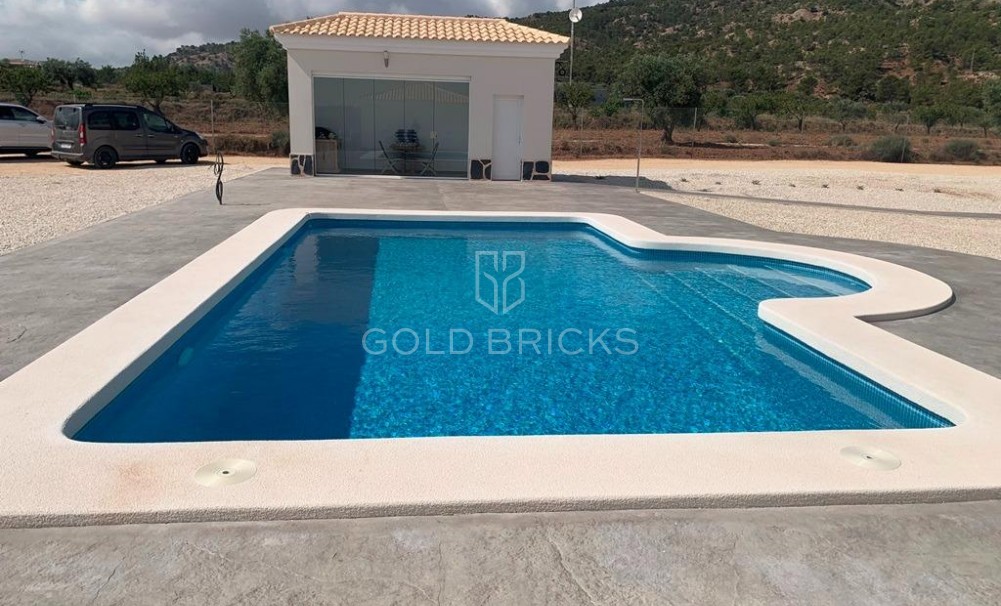 New Build · Villa · Pinoso · Camino Del Prado