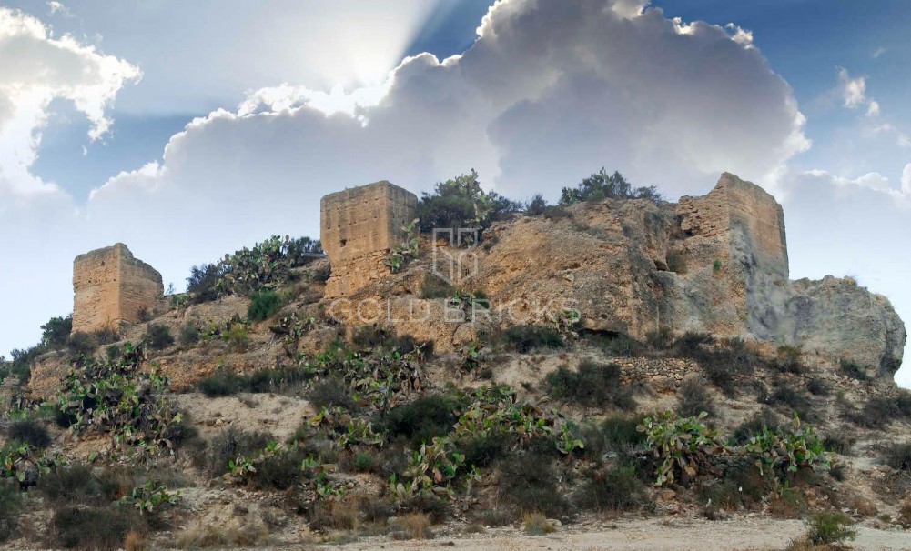 New Build · Villa · Aspe · Centro